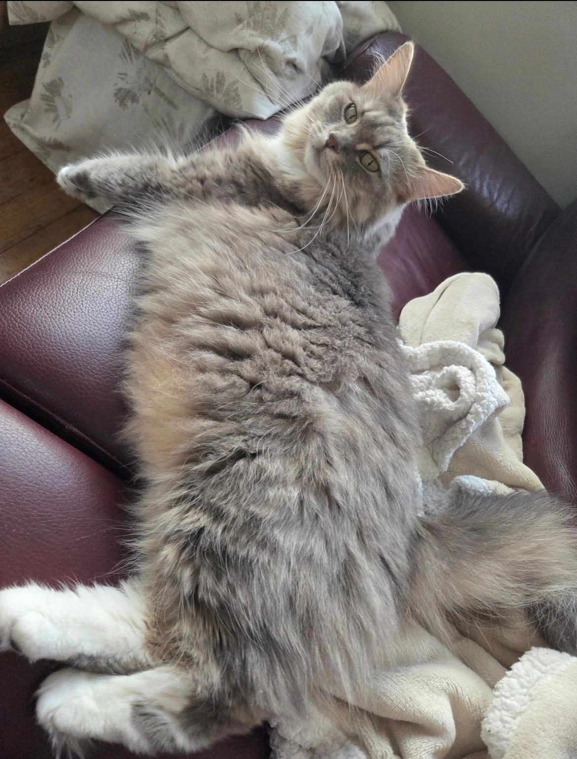 Shy - 12 Rue Valentin Bernard, Bourg