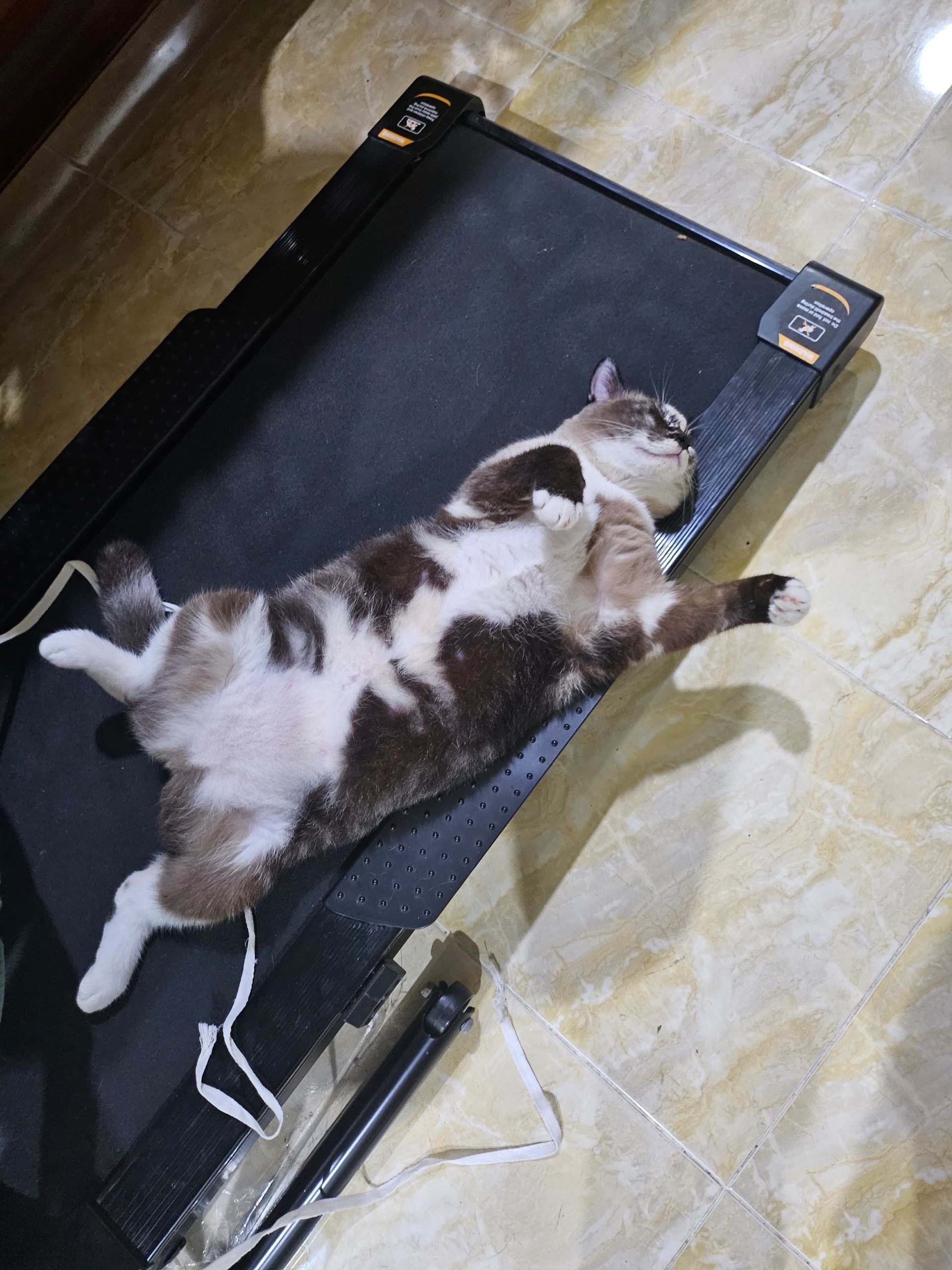 Princess - 75450, Ayer Keroh