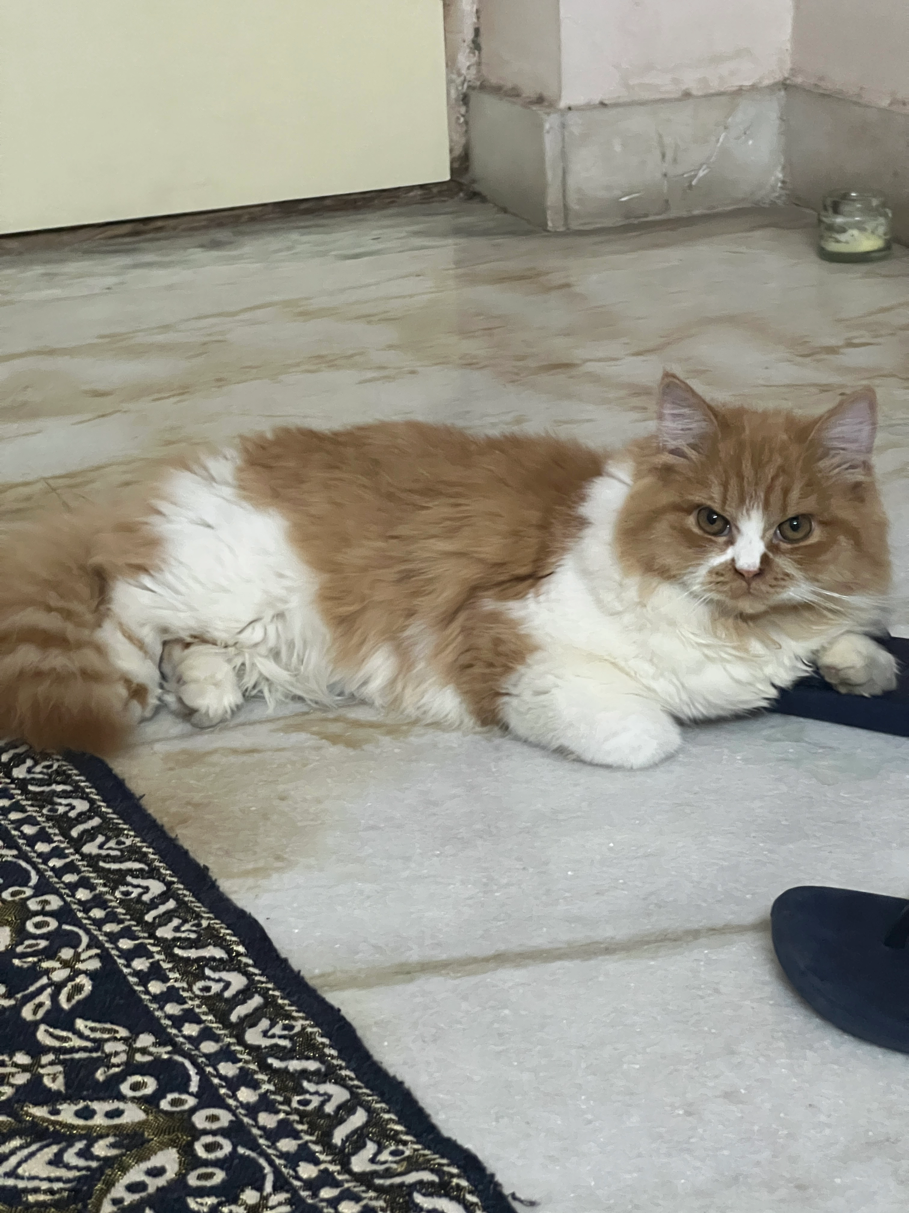 Lune - Hashmatpet Road, Secunderabad