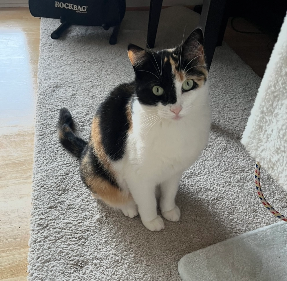 Beauty  - Kunigundenstraße, Bonn