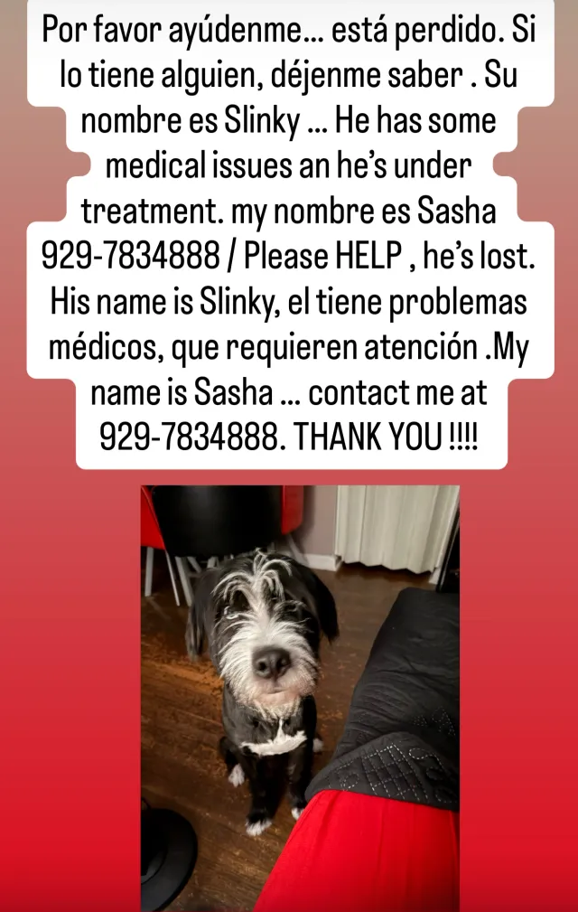 slinky - 3565 85th St, Jackson Heights