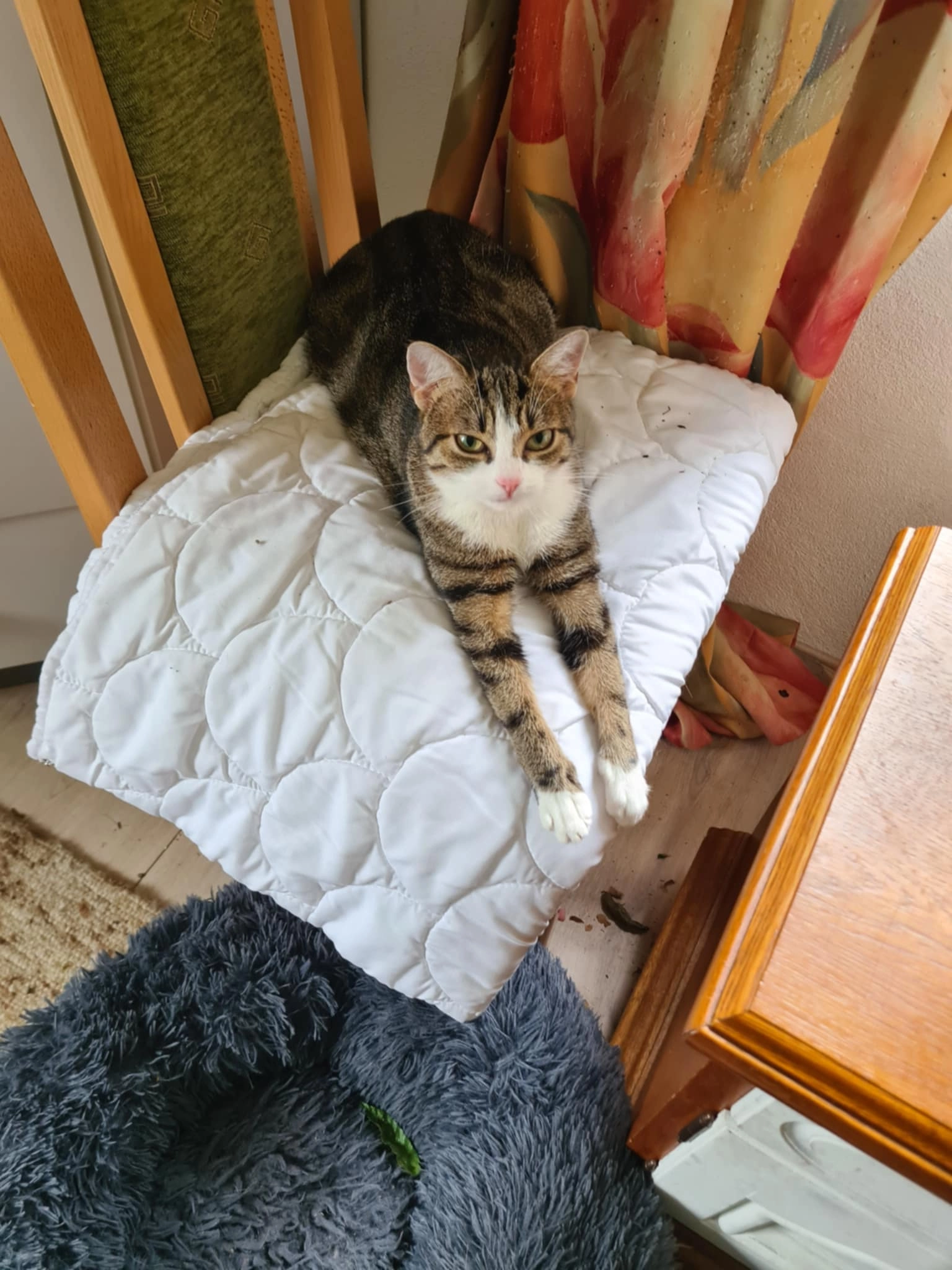 Samy - Kirchplatz, Prem