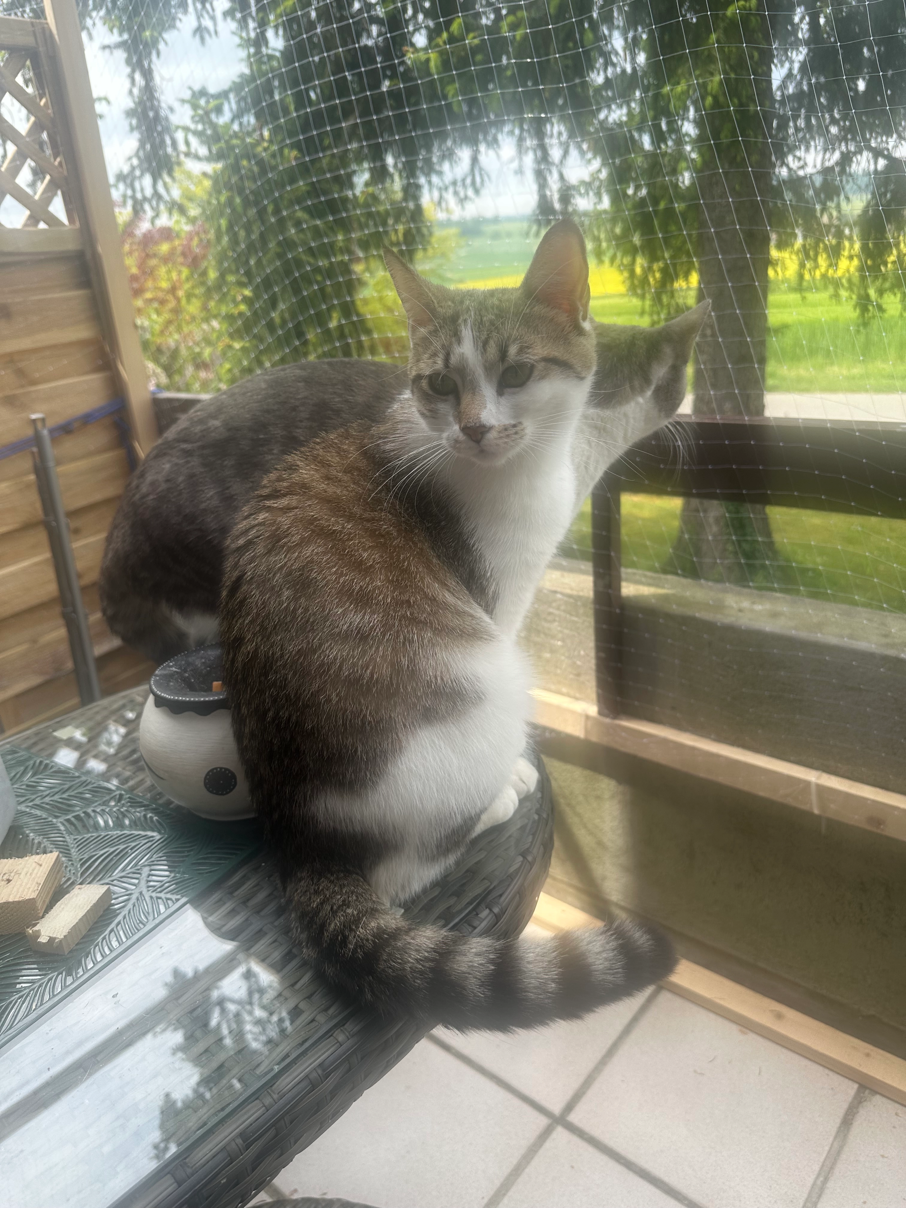 Lillith - Birchstrasse, Niederhasli