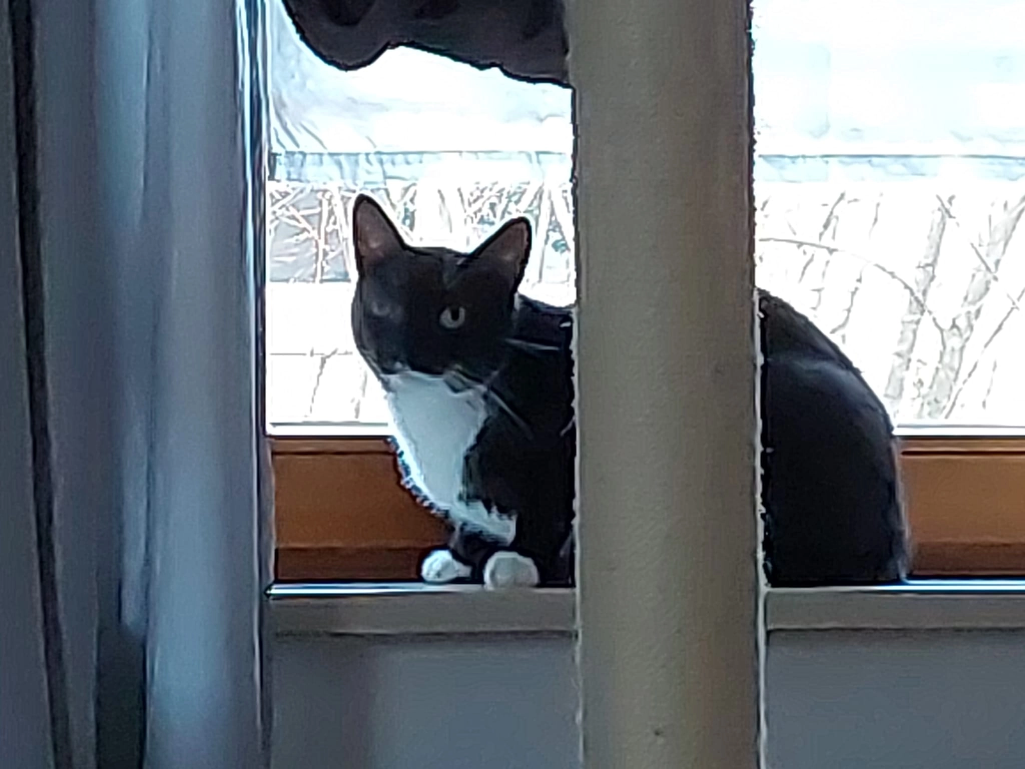 Opel - Limburgstraße, München