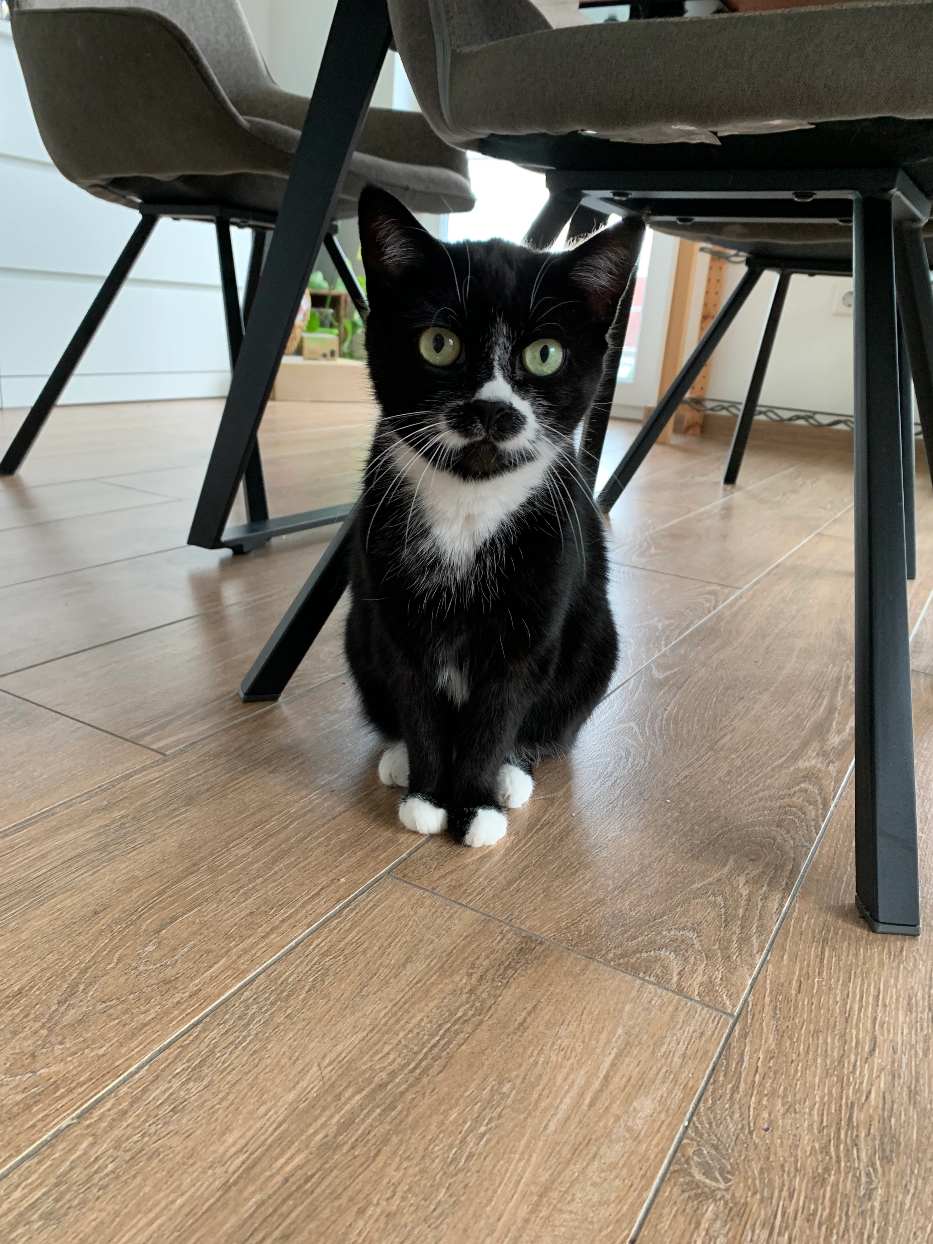 Bonnie - Salzkottener Straße, Lippstadt