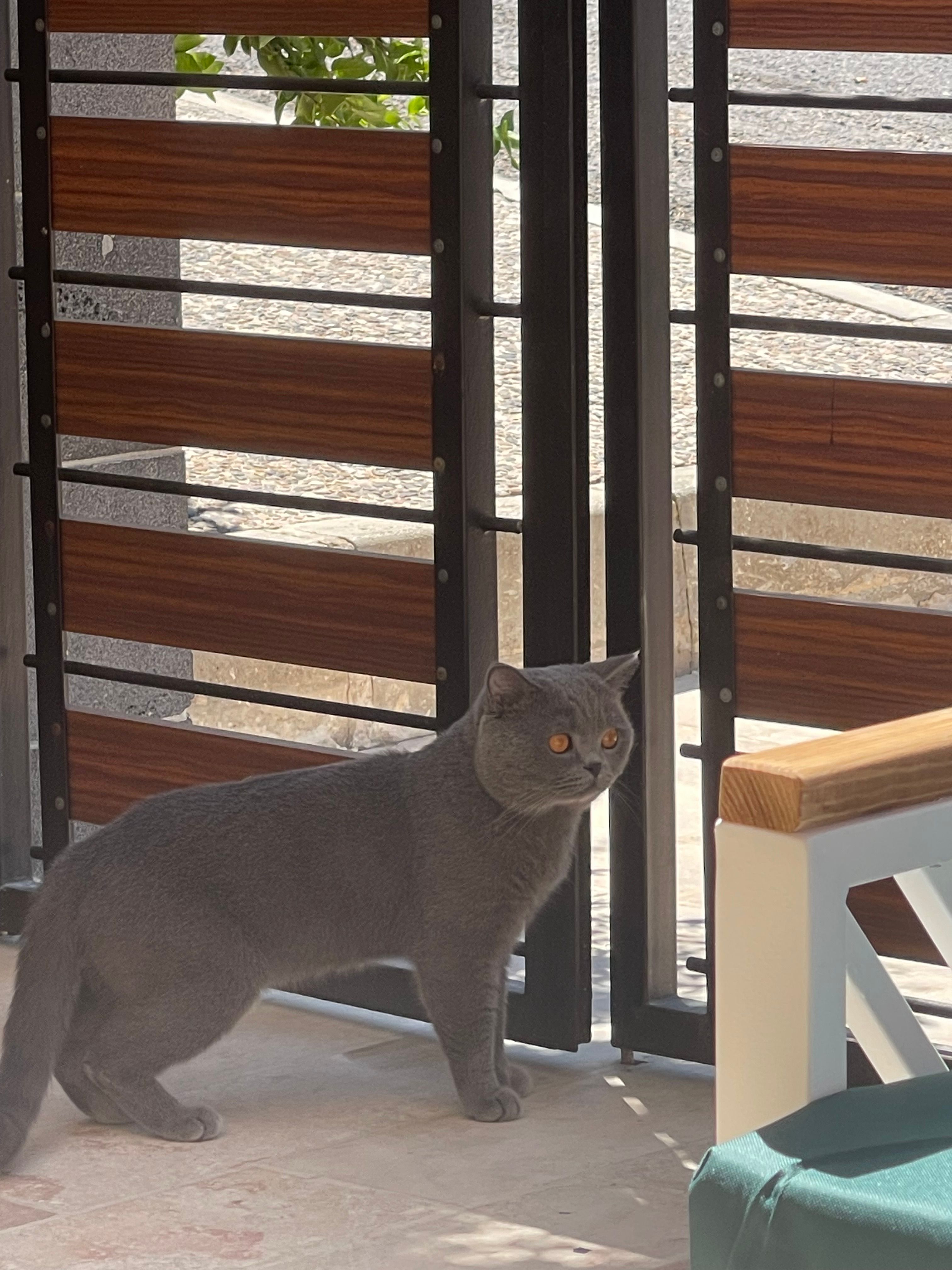 Silver  - Amman, Arraseefah