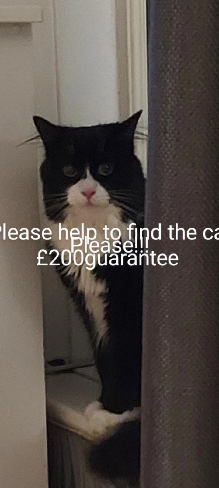 Simba - NE4 8, Newcastle Upon Tyne