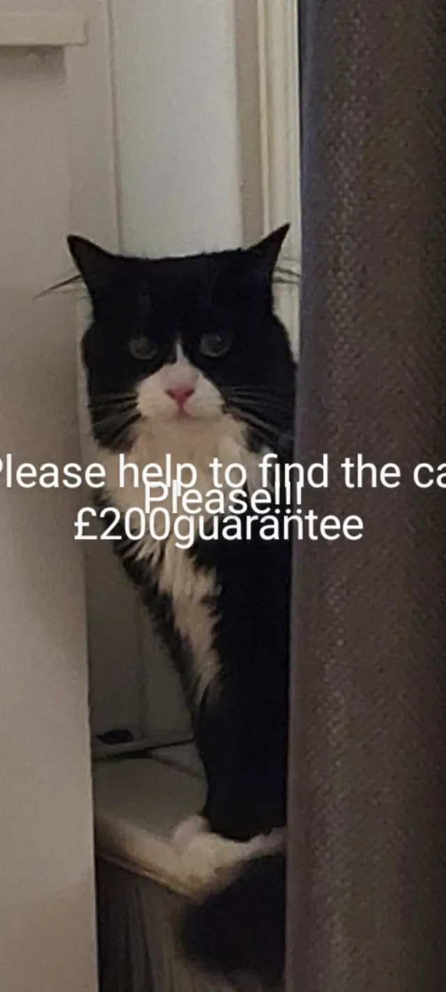 Simba - NE4 8, Newcastle Upon Tyne