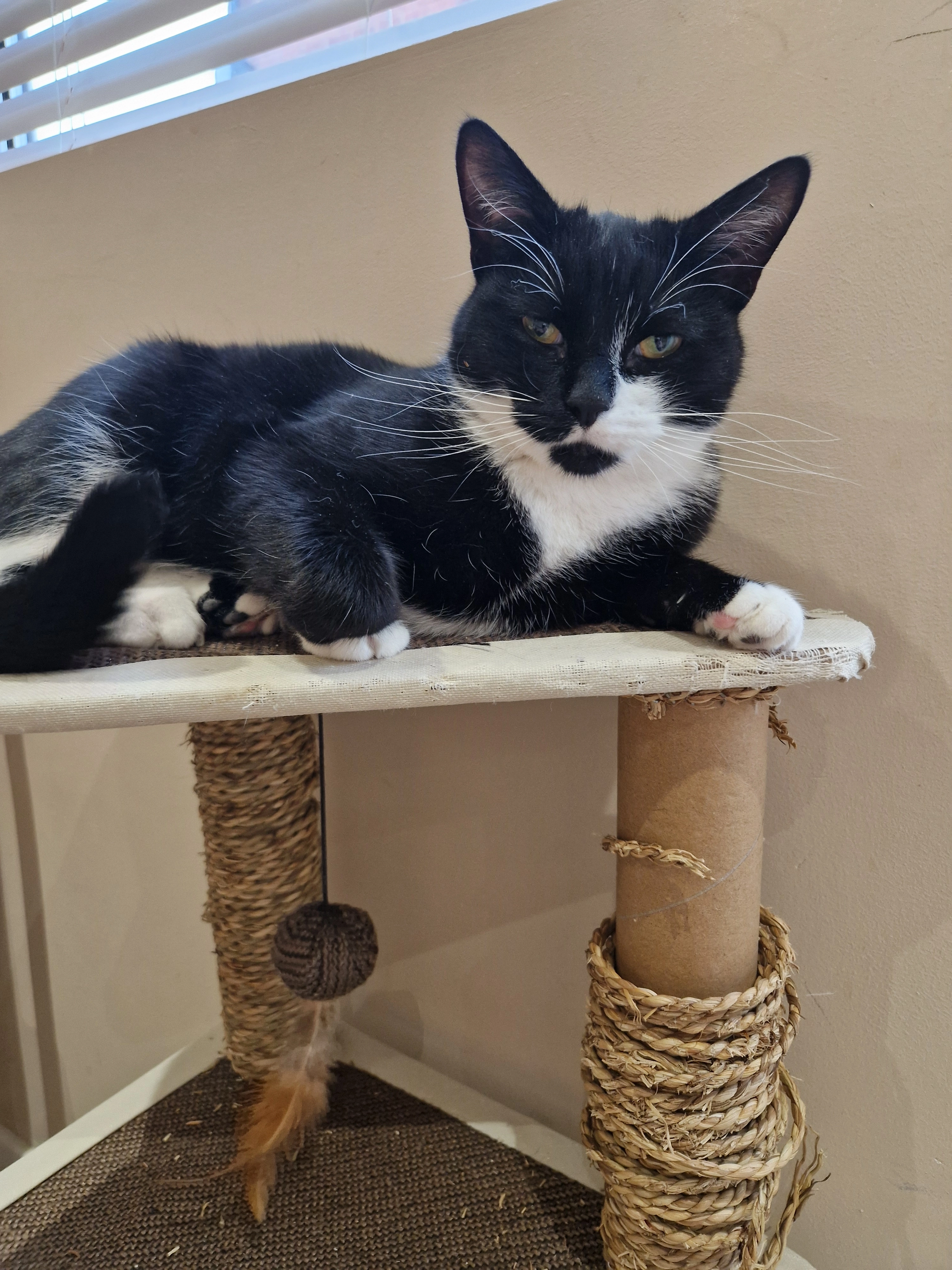 Max - Garstang Road, Southport