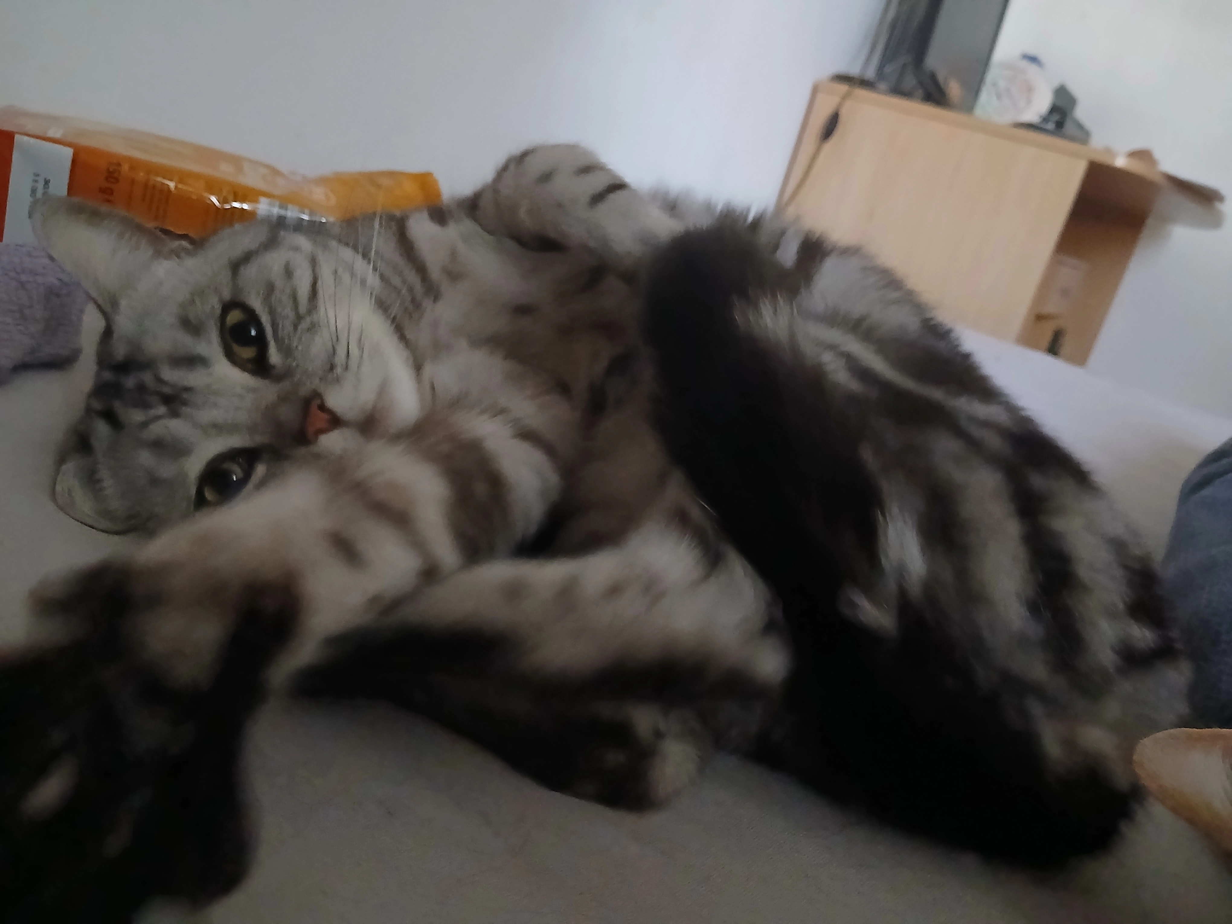 Calcifer - Hauptstraße, Peißenberg