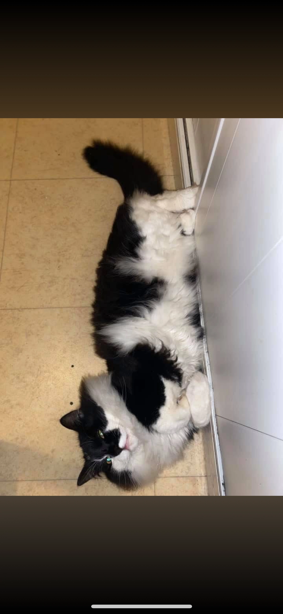 Pistoufle - 8 Rue Martinot, Aubagne