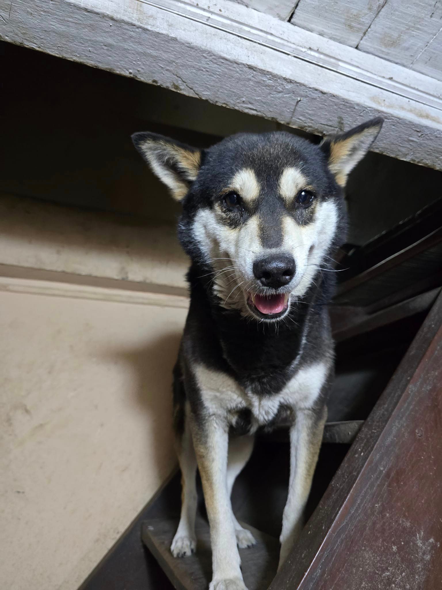 Benny - Kuleshwar, Kathmandu