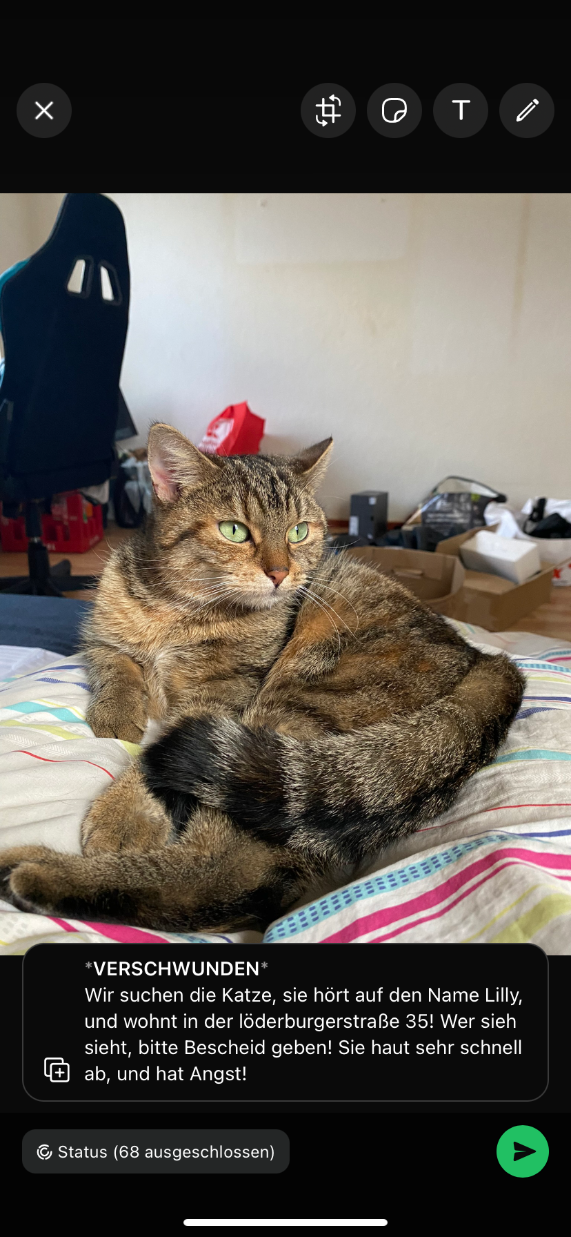 Lilly - Löderburger Straße 35, Staßfurt