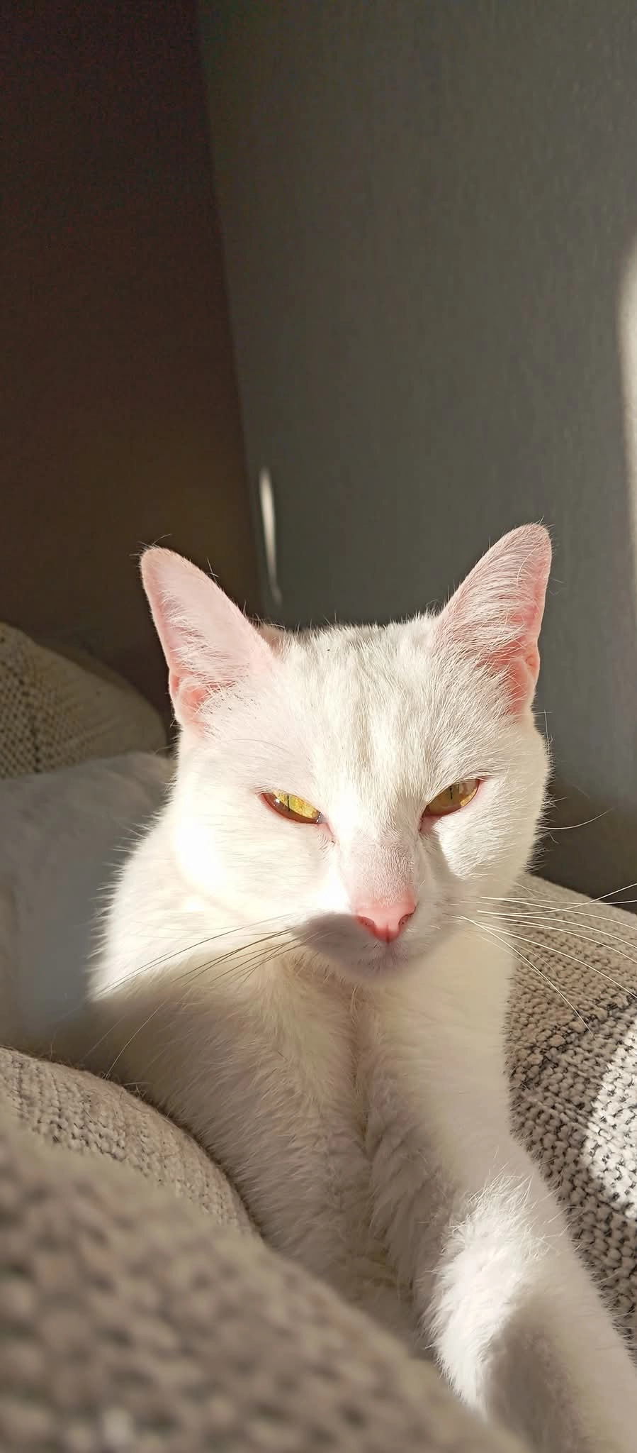 Uraya - Rue Des Coteaux, La Rabatelière