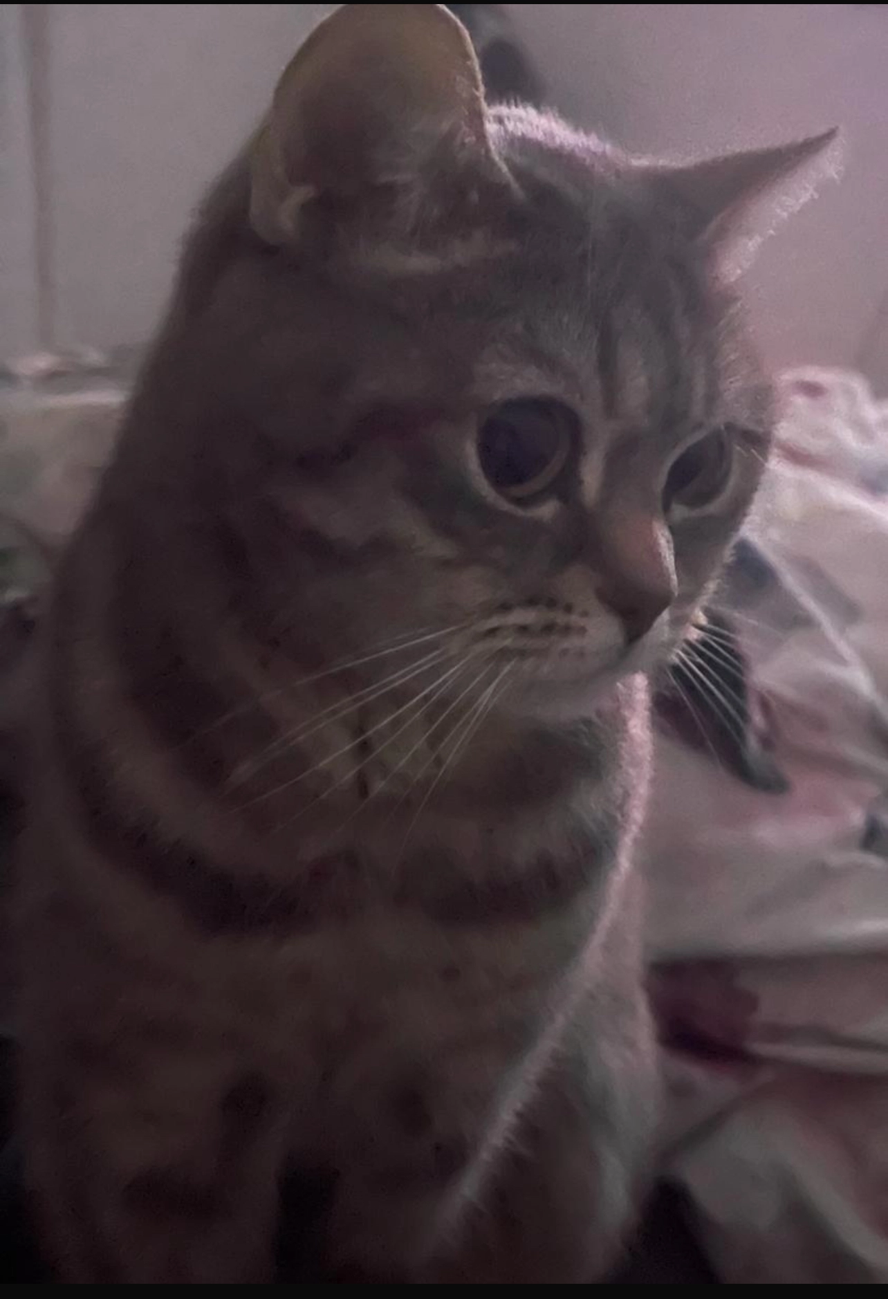 Bee - Am Sportplatz, Rinteln