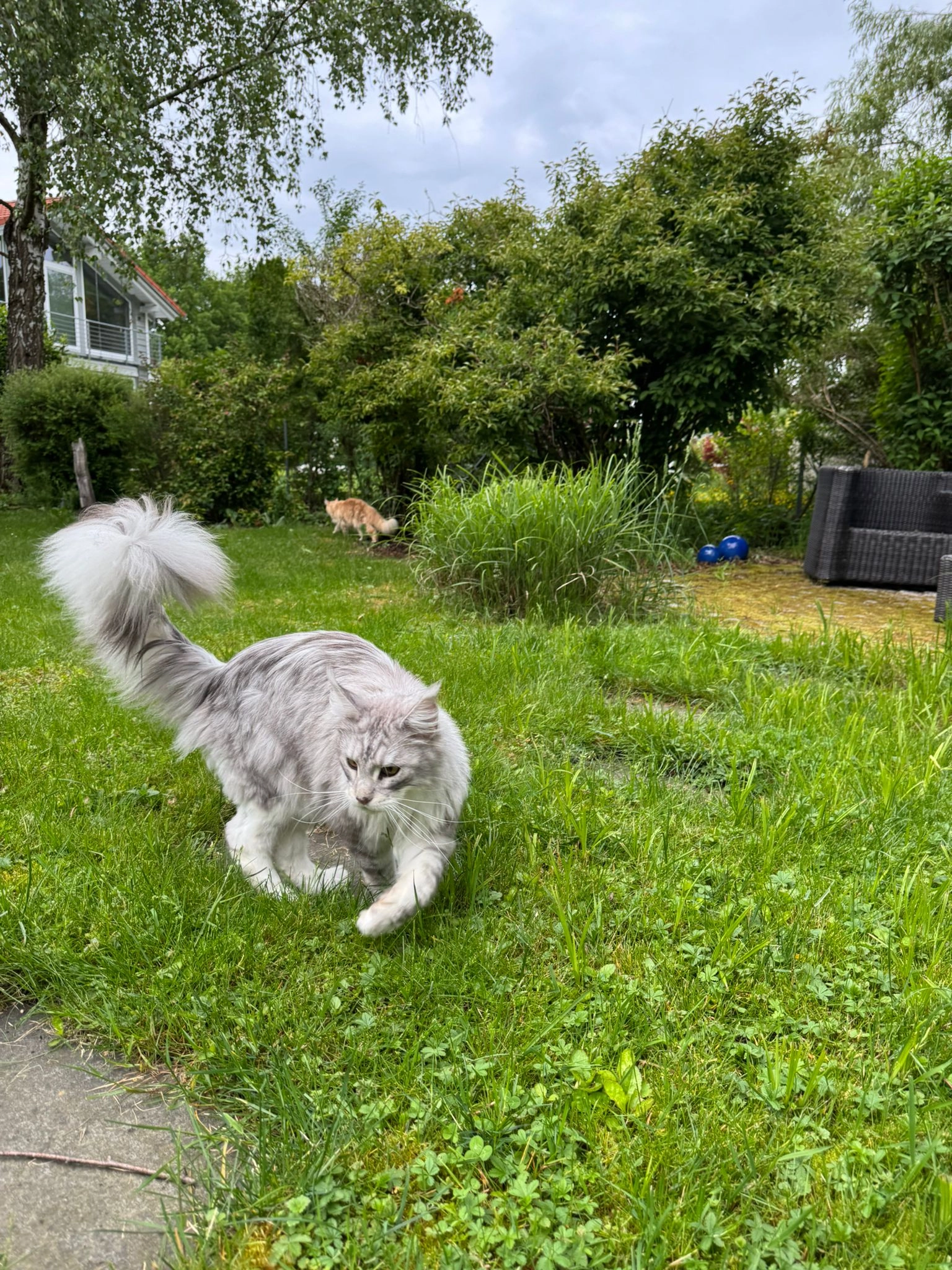 Yoshi - Ahornstraße, Wörthsee