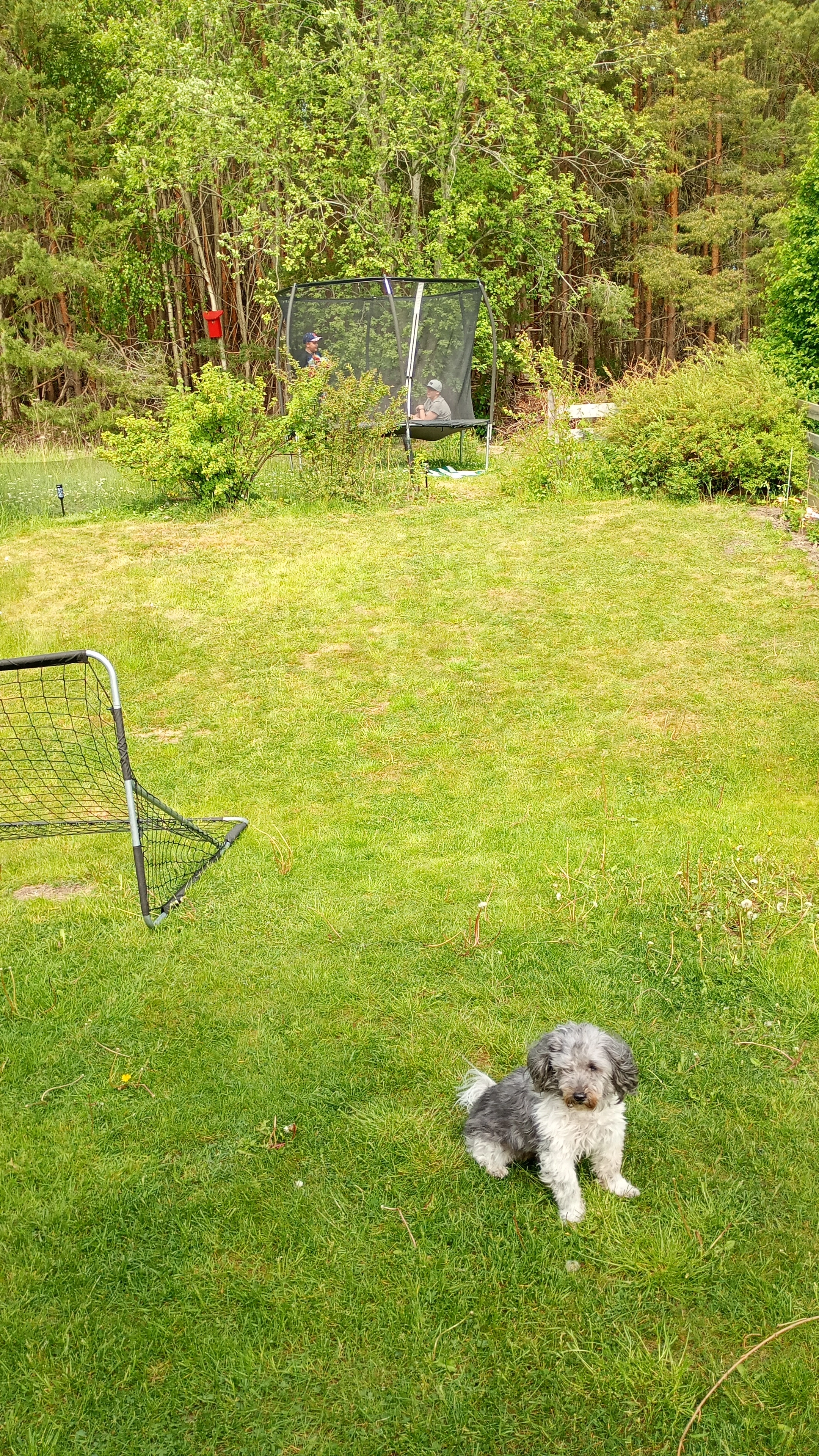 Buffy - Söderströms Väg, Stenhamra