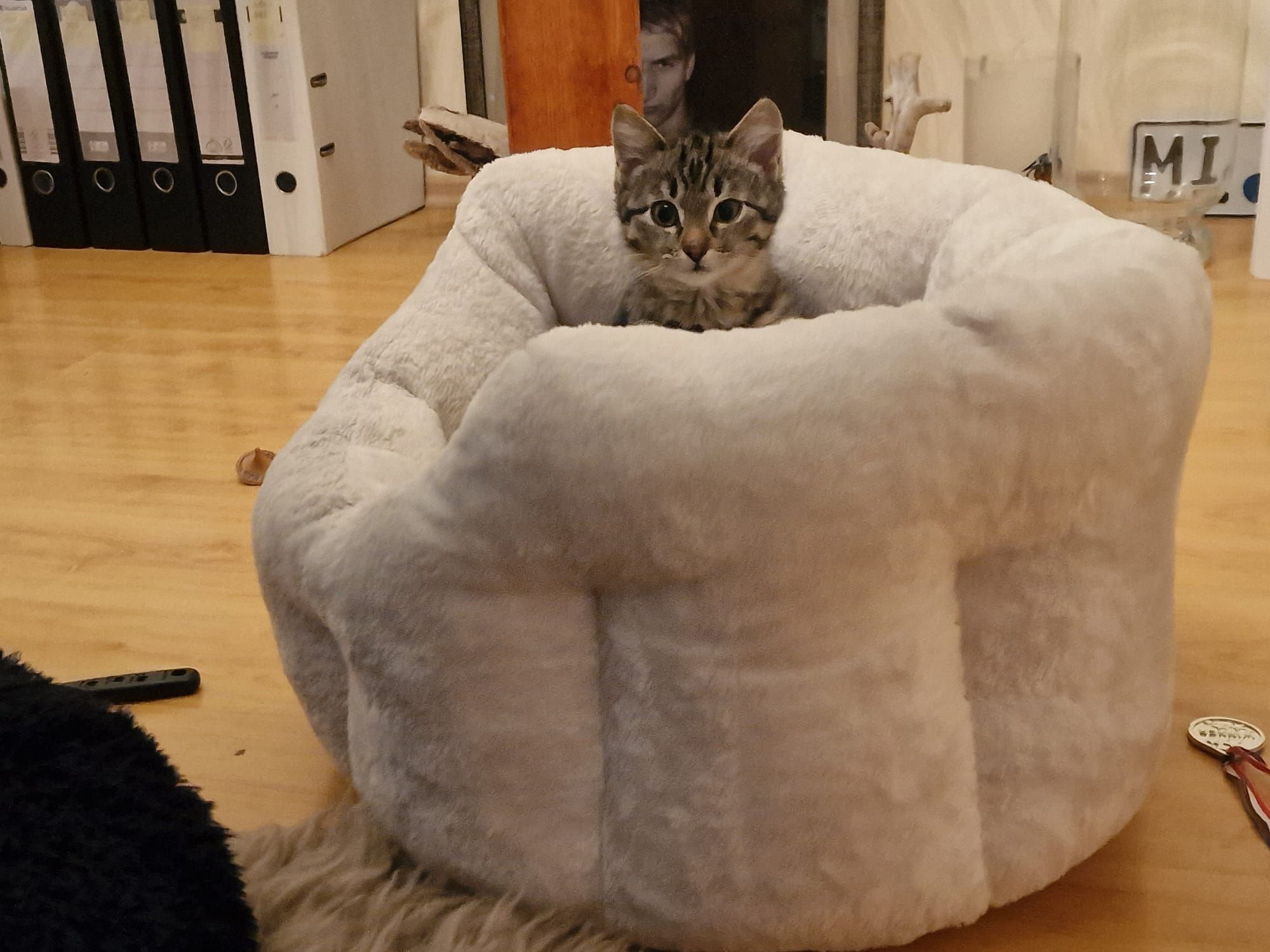 Tiga - Blekgärten, Lübbecke