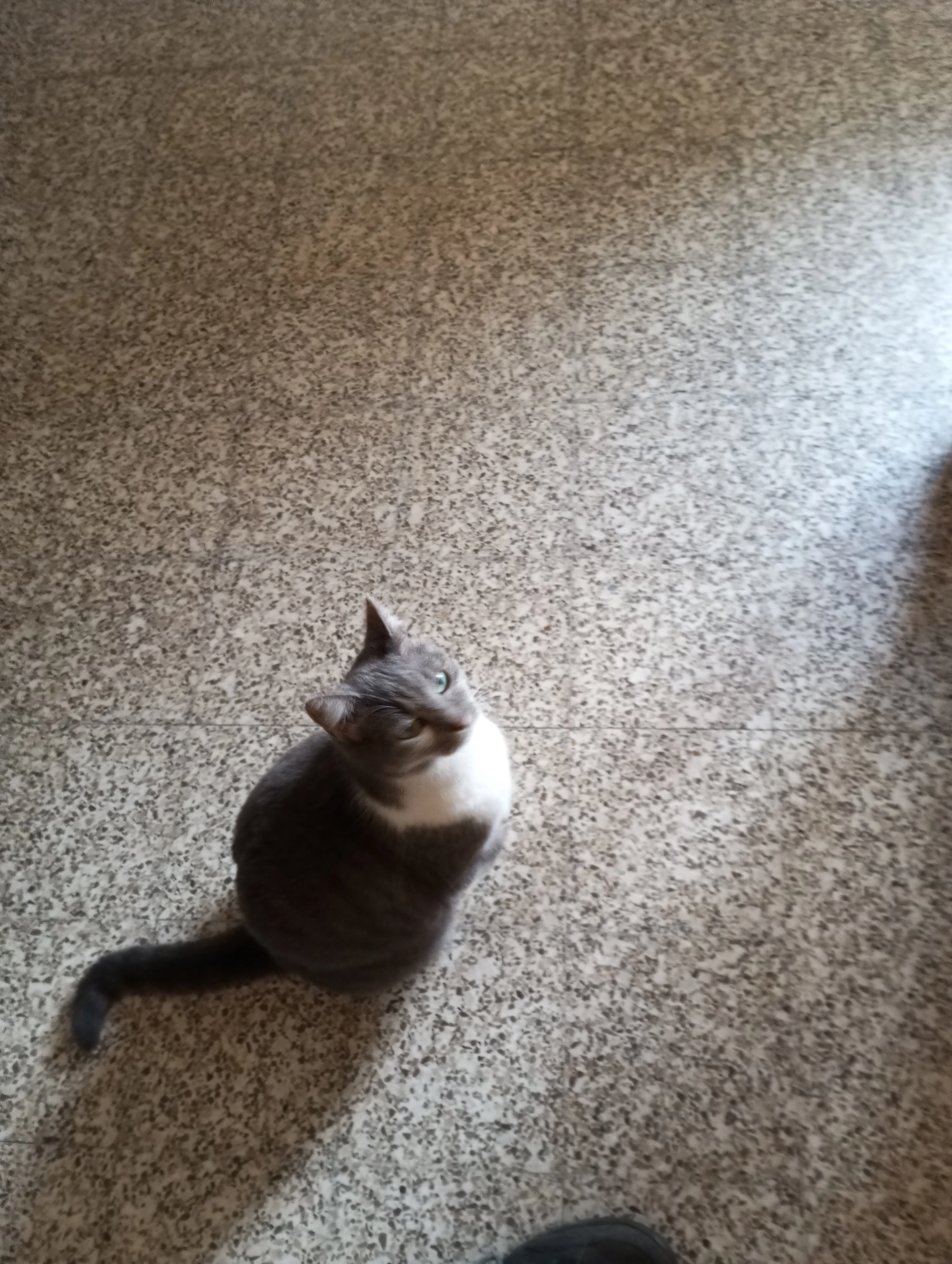 Nounoute  - Rue Léon Blum, Divion