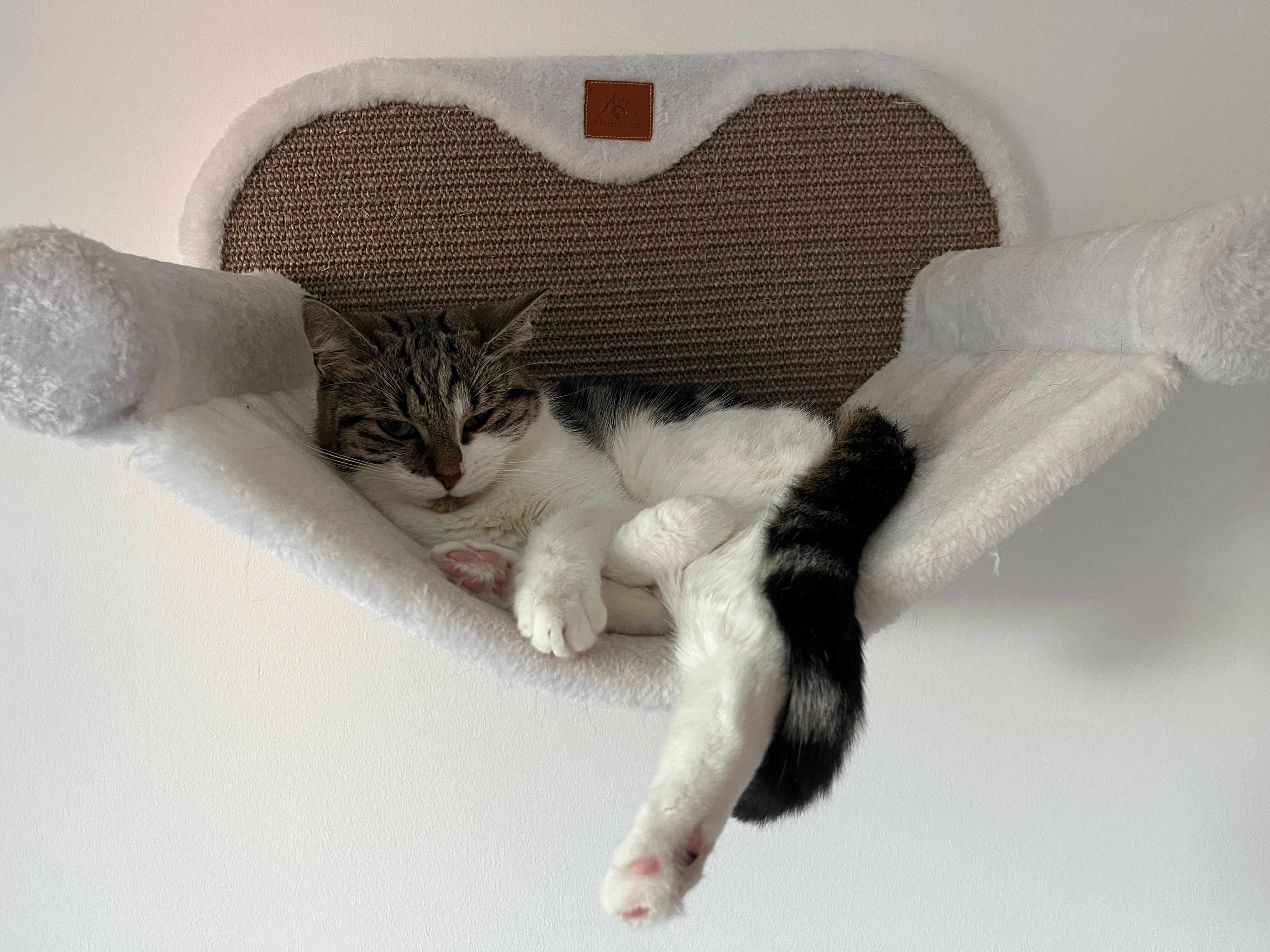 Gypsy  - Jahnstraße, Treuenbrietzen