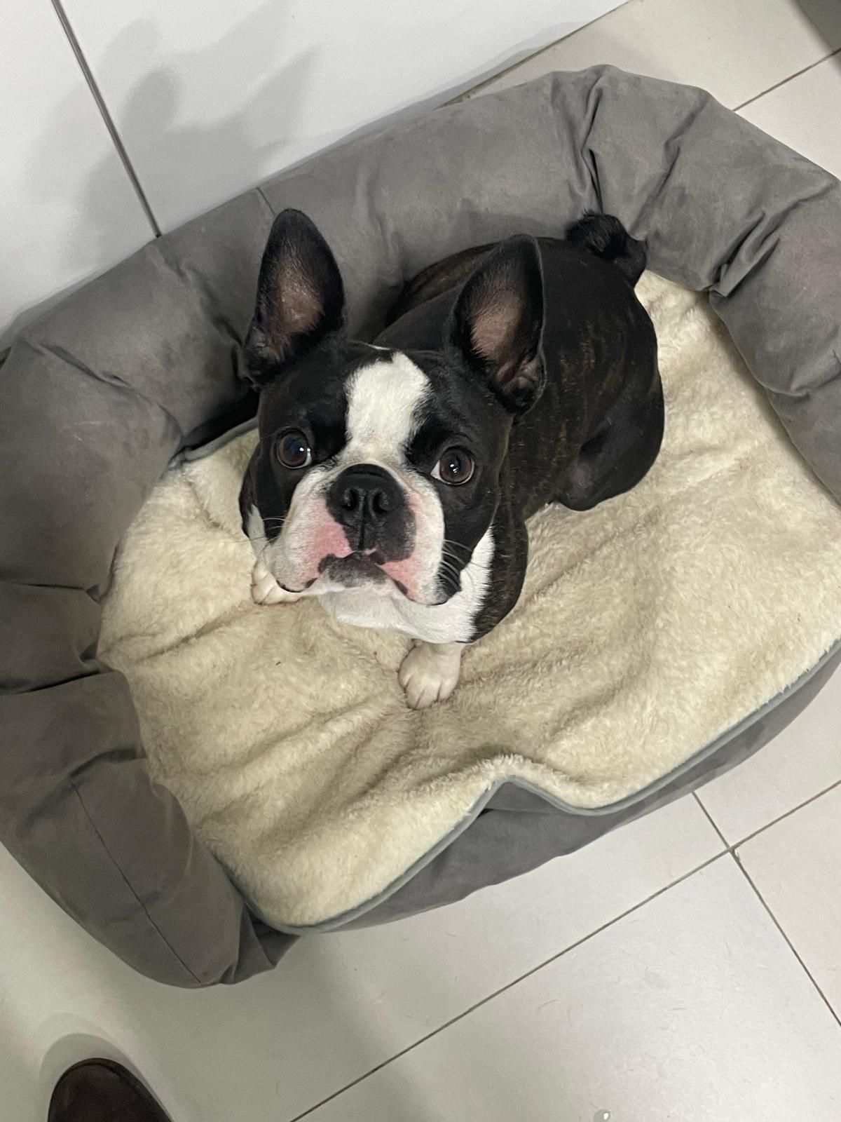 Klaus - Calle De Las Huertas, Majadahonda