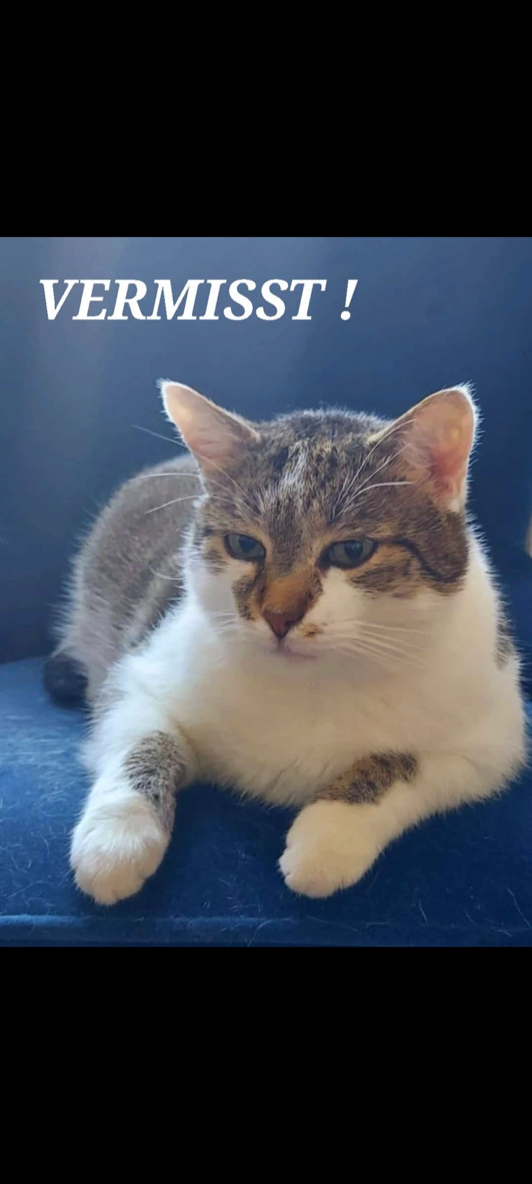 Pauli - Turnitzstraße, Ansbach