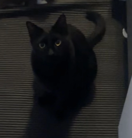 Gus - Berger Straße, Maintal