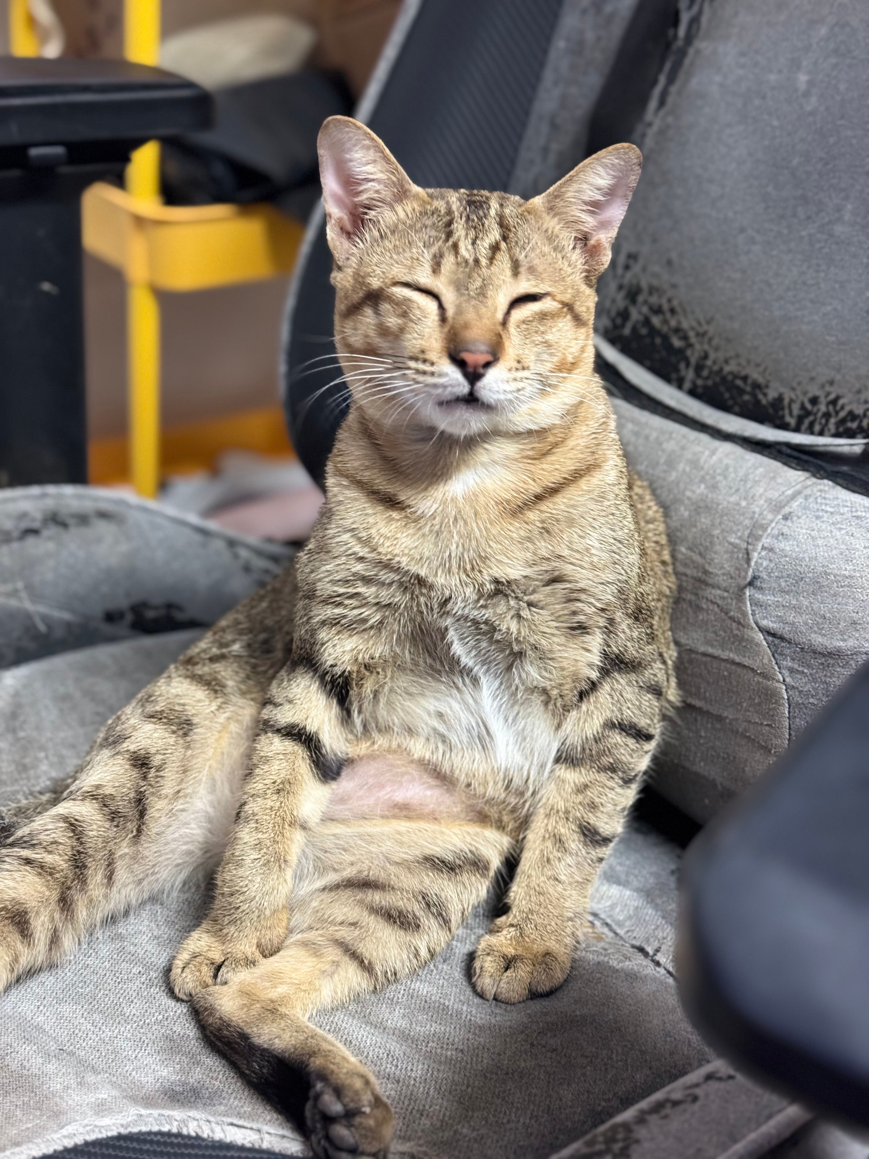 Bi Bi - 120607, Phnom Penh