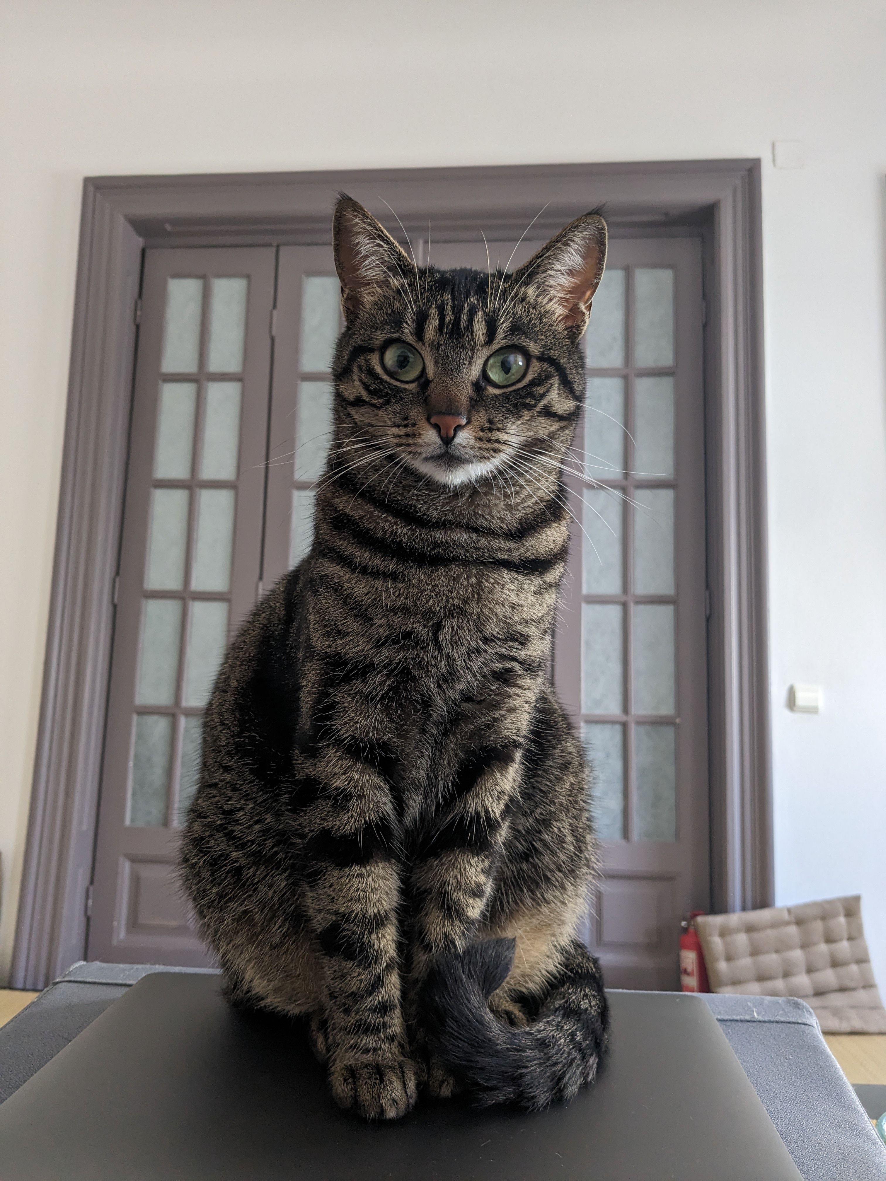 Tora - Strada Ion Luca Caragiale, Bucharest