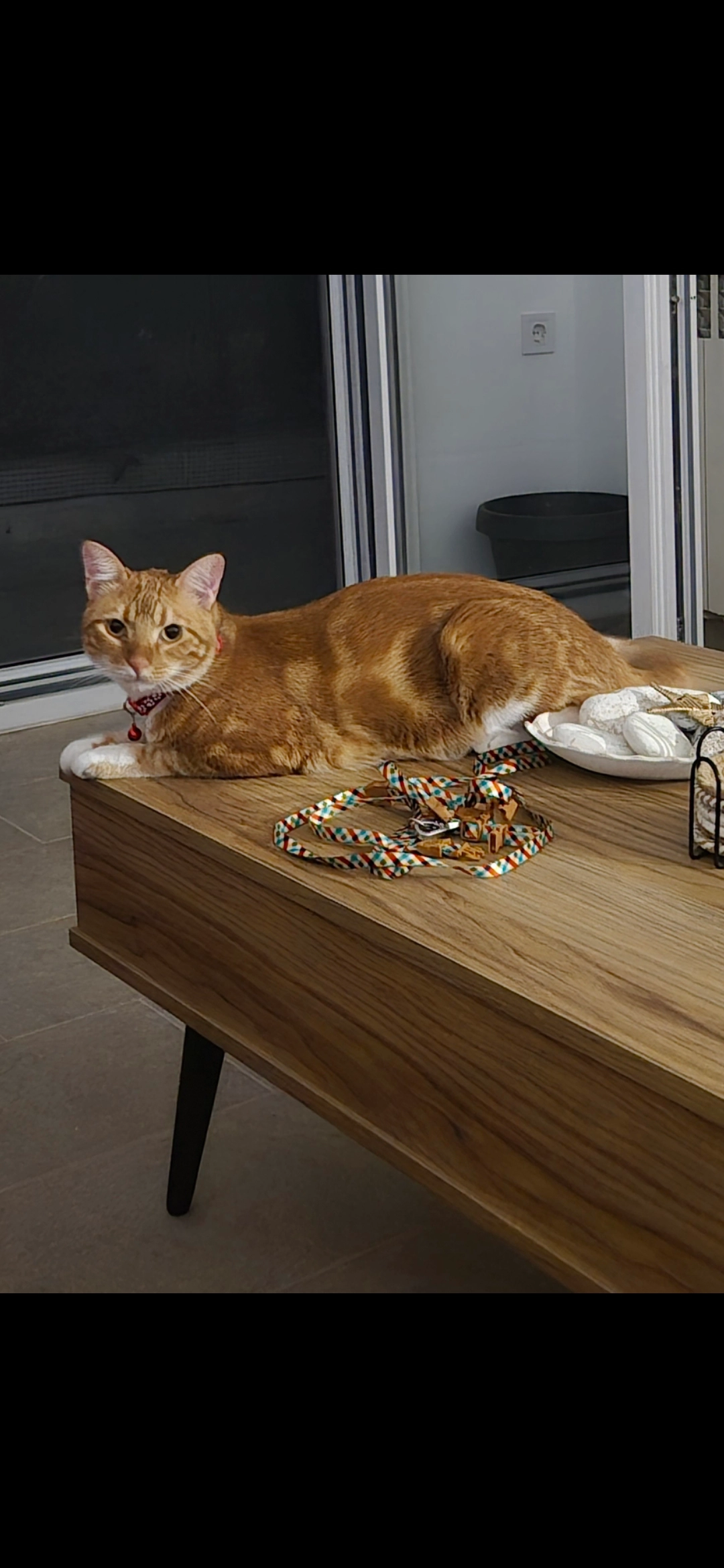 Κολλητήρι - Ανδρονίκου 37, Αλεξανδρούπολη