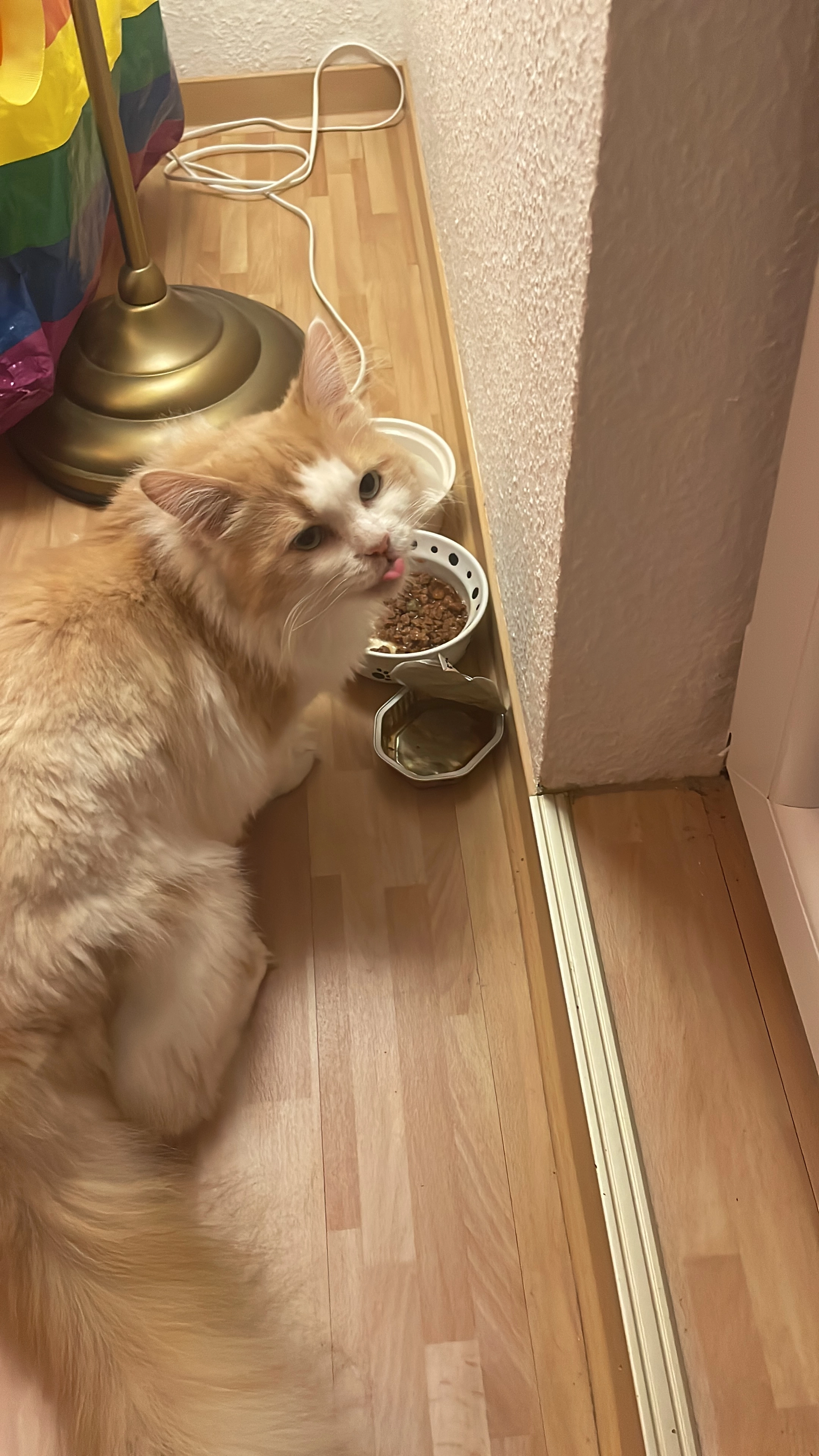 Muni - Stammelner Fließ, Düren