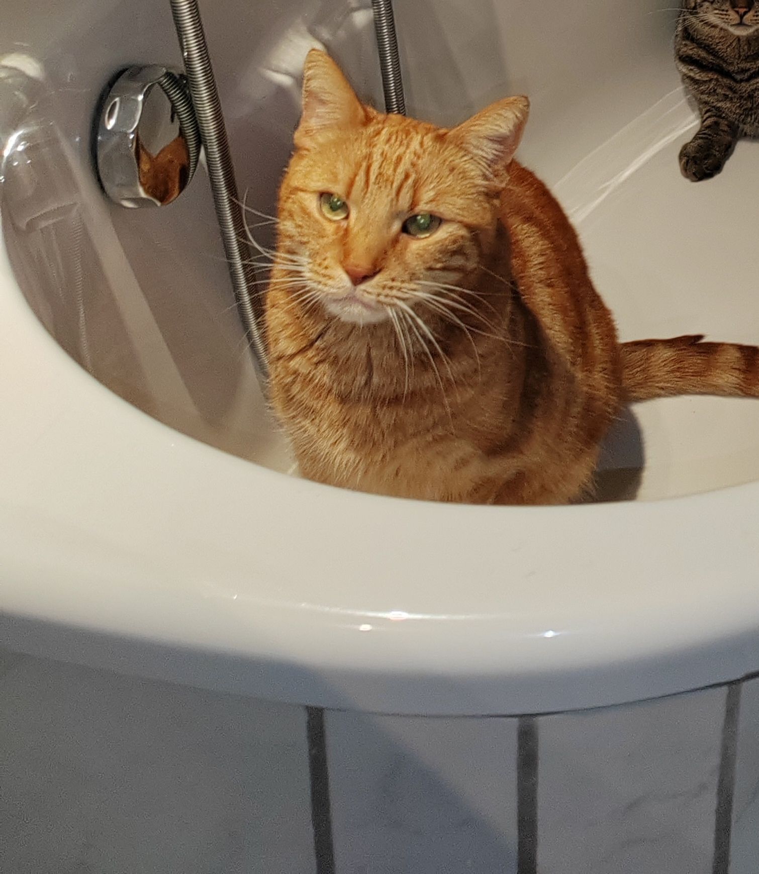 Max - Wüstemark, Lutherstadt Wittenberg