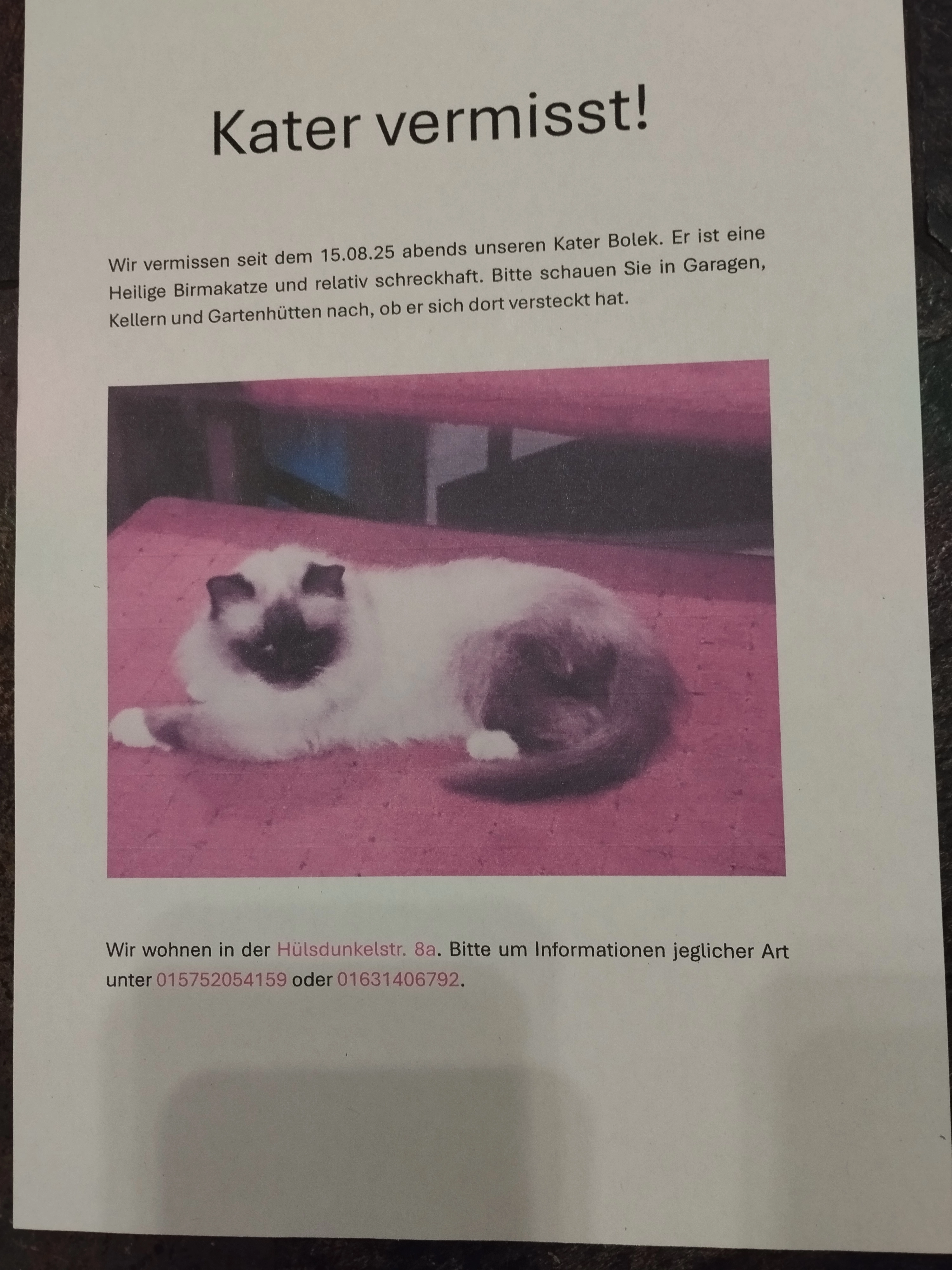 Bolek - Hülsdunkelstraße, Lünen