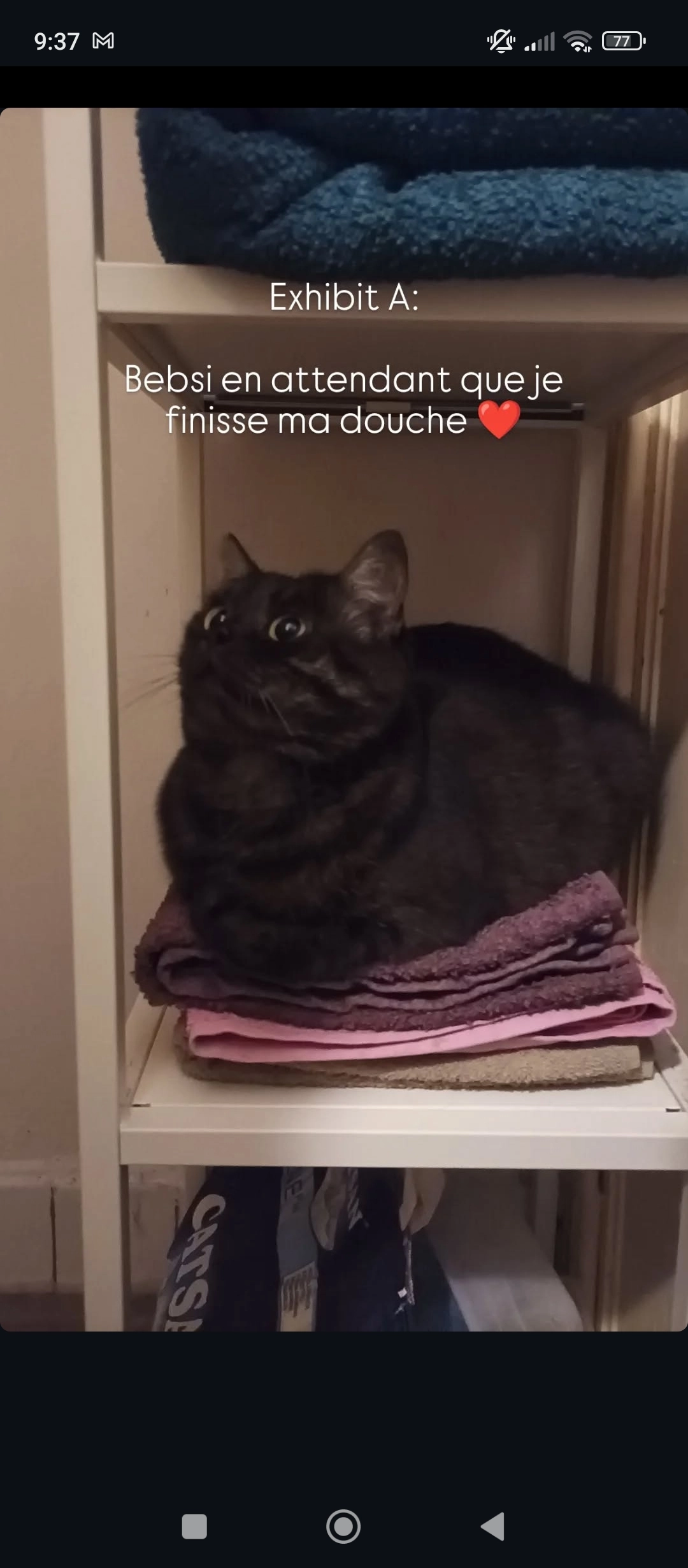 Calcifer (Calci) - Rue du Houyoux 29, Auderghem