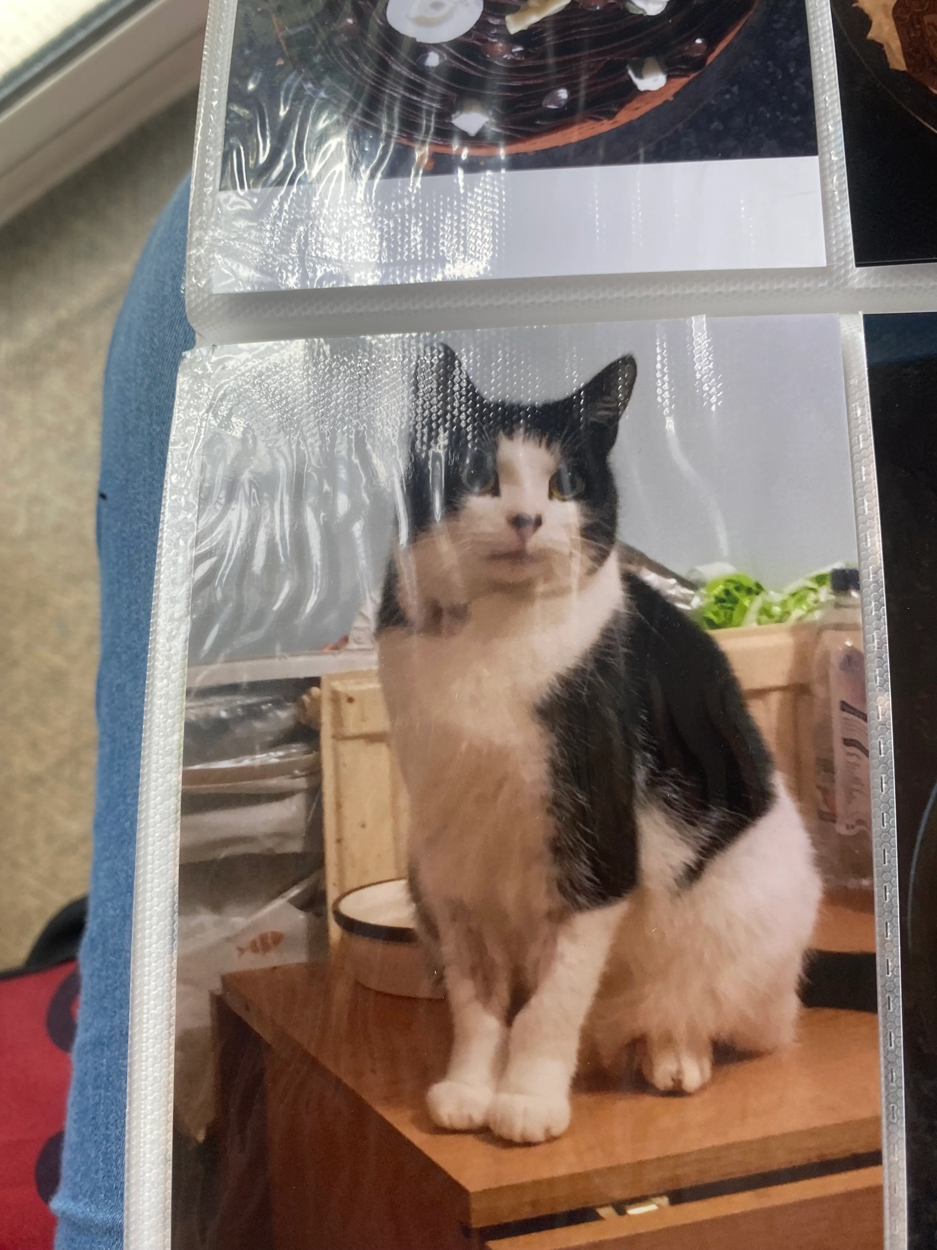 Yuki Johnson  - Heather Walk, Crawley