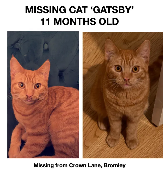 Gatsby - Crown Lane, Bromley
