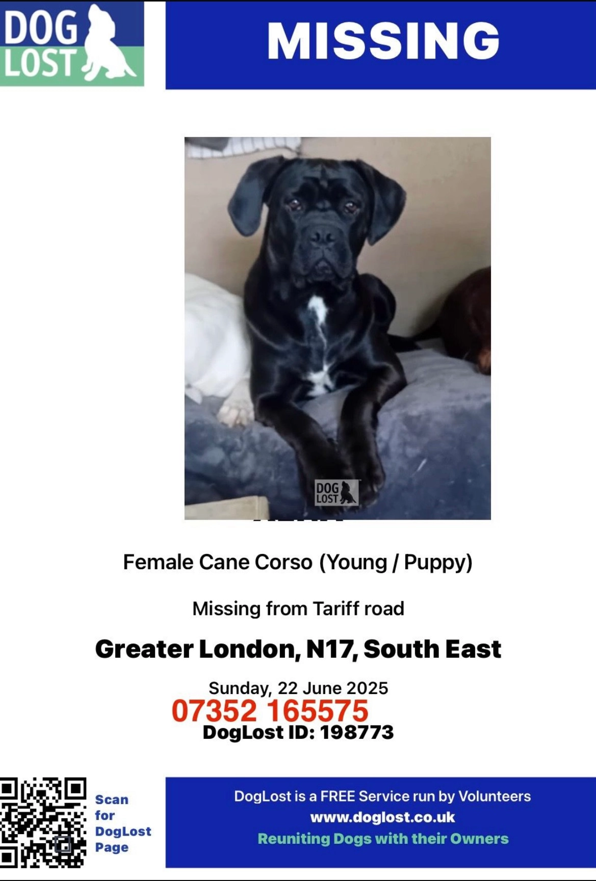 Xena - Northumberland Park, London