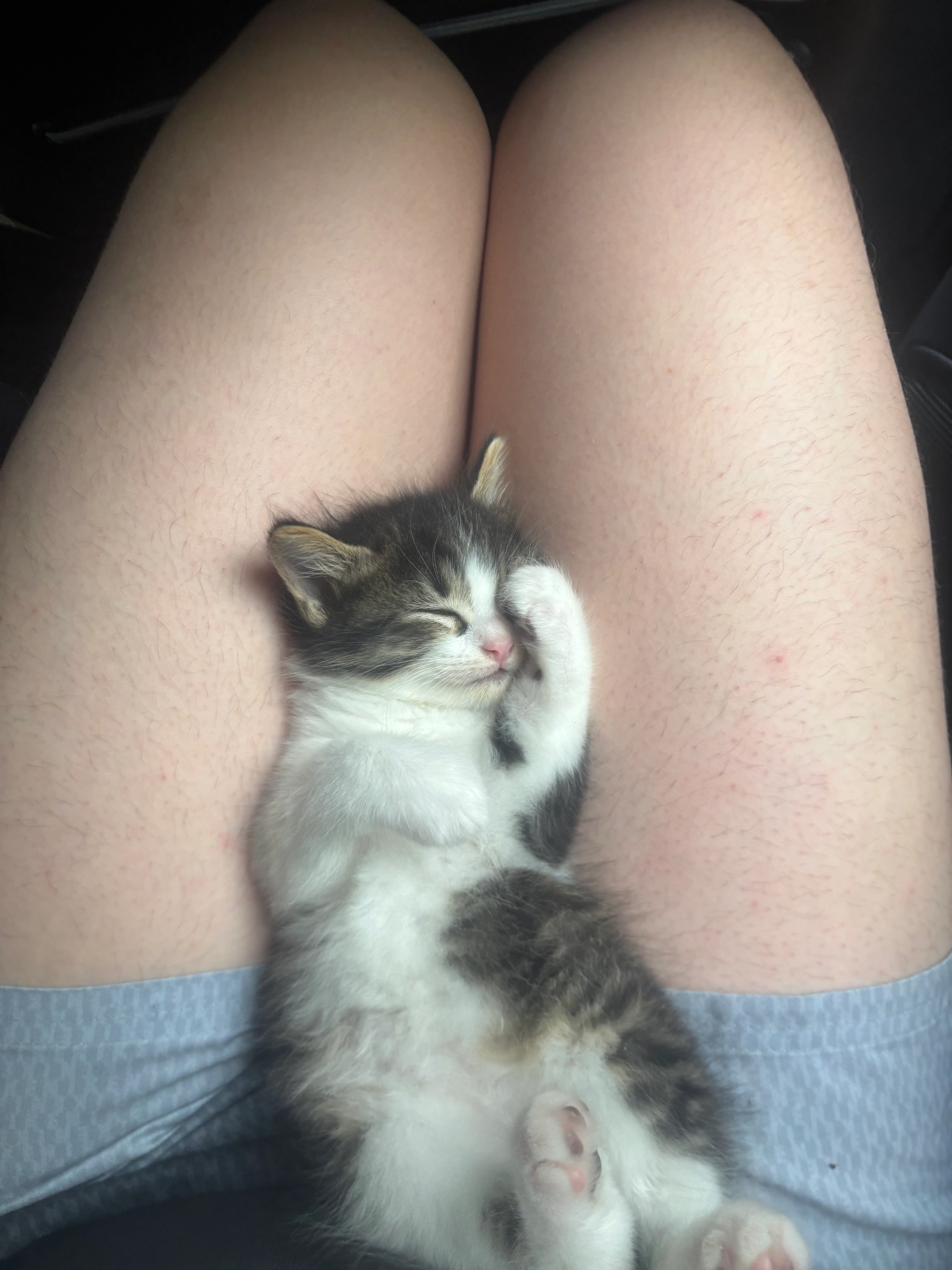 Anyme - 63 Rue des Écoles, Blois