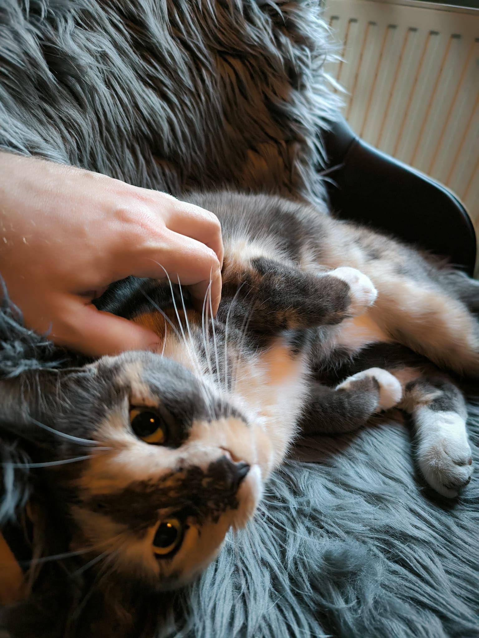 Rocket - Am Postbeek, Scheeßel