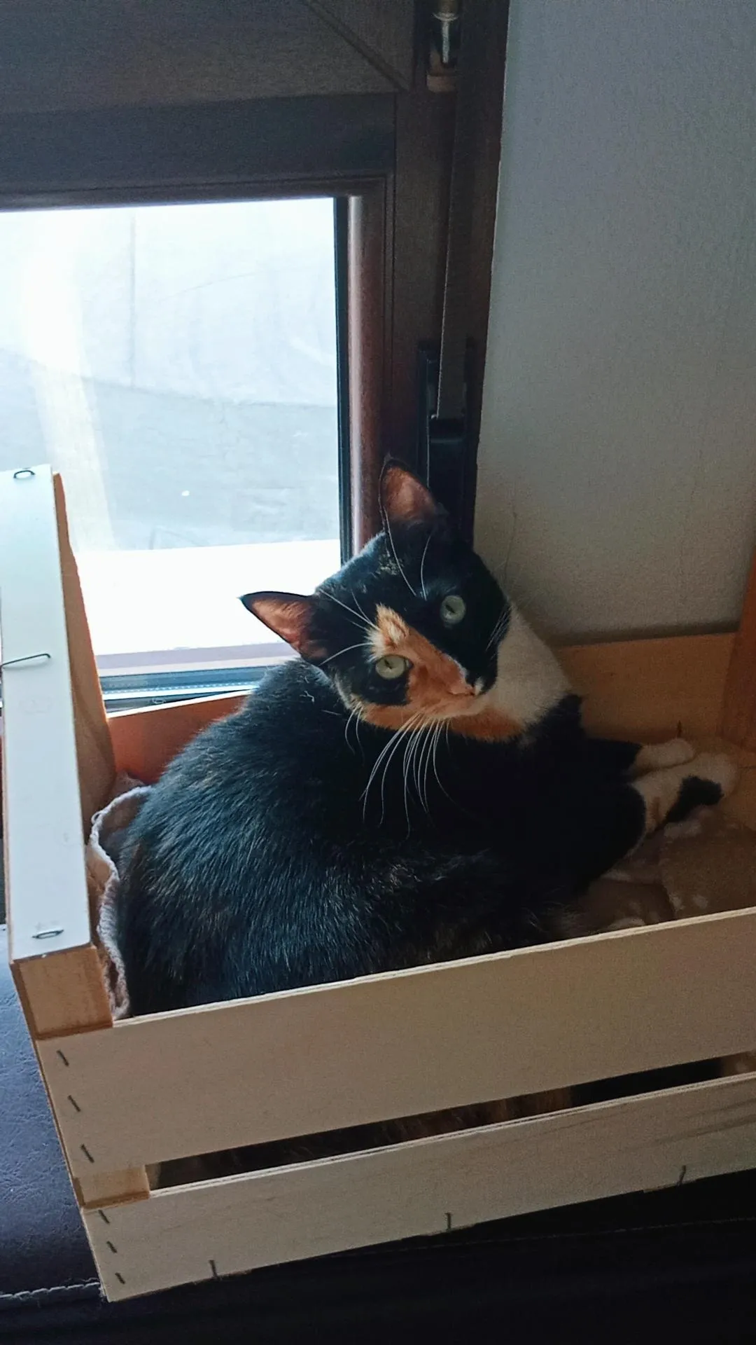 Felina - Carretera Oviedo - Viella, Siero