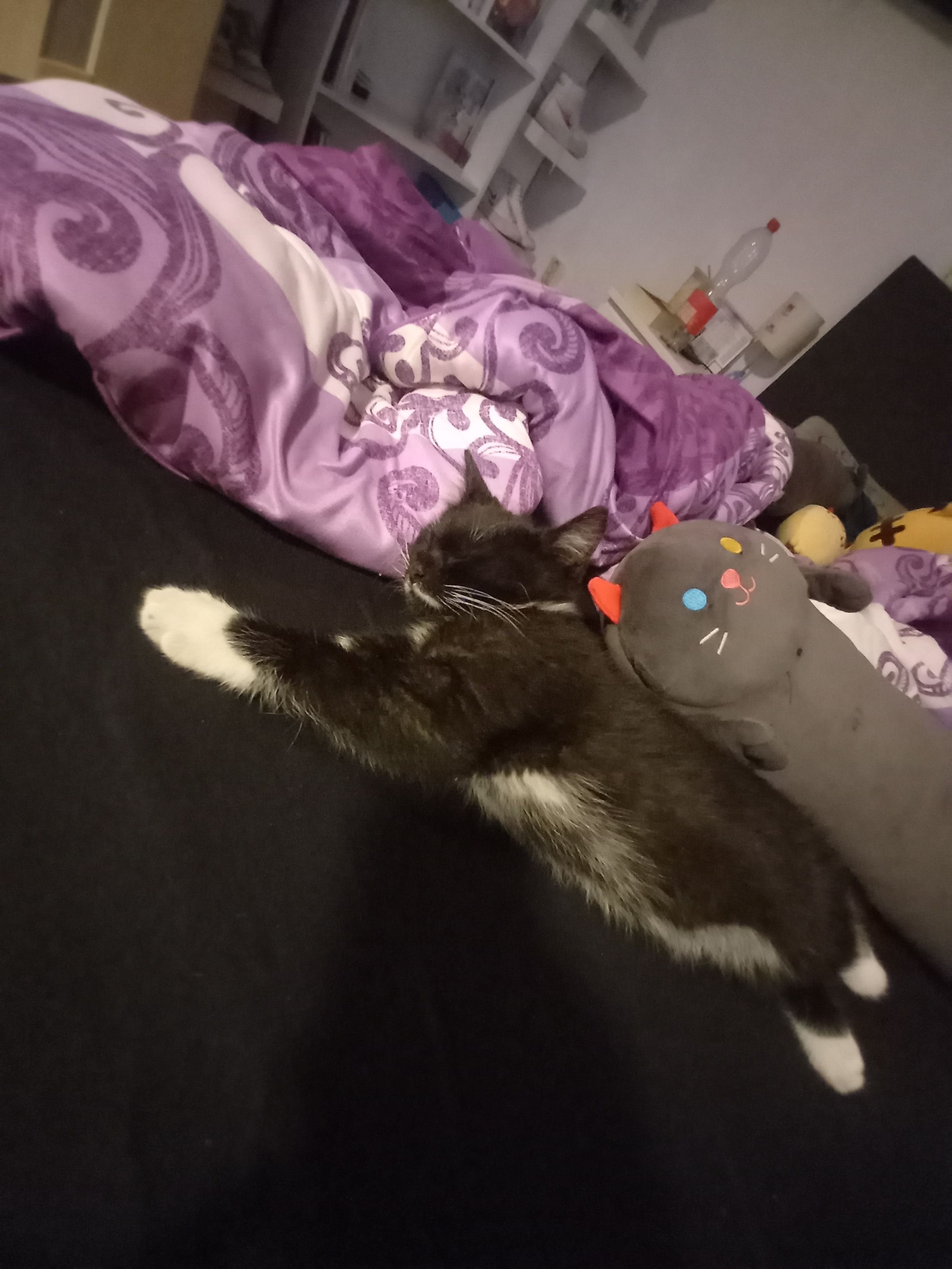 lacki - Bachstraße, Malchow