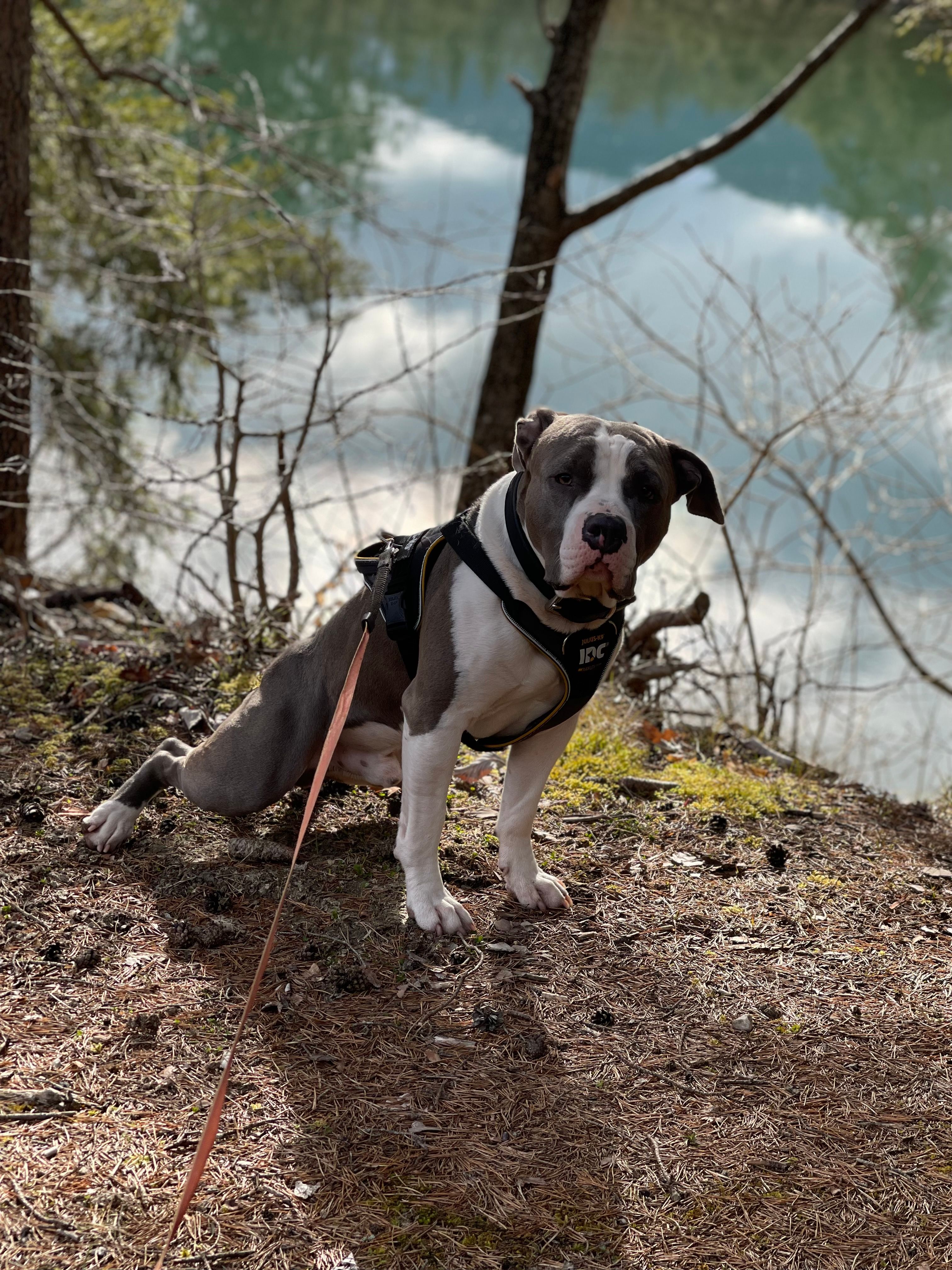 Pablo - Karl-Krobath-Straße, Arnoldstein