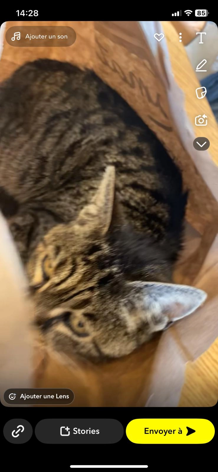 minette - Rue de Saveuse, Amiens