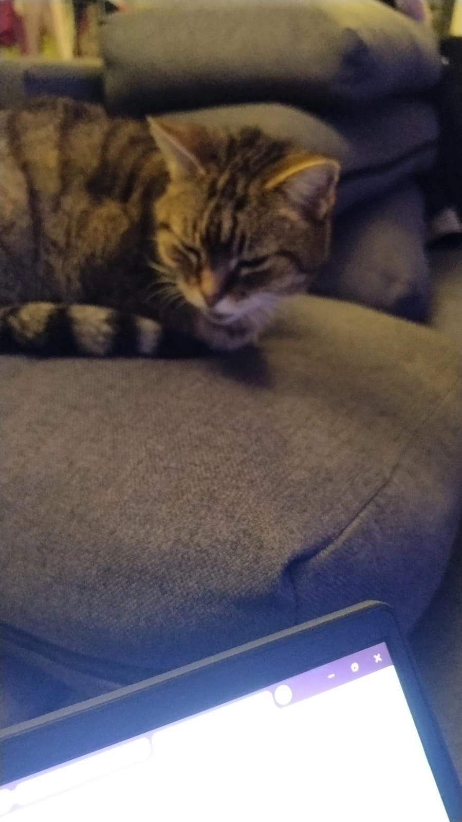 Yume - Chemin Des Blachettes, Saint-Hilaire-de-la-Côte