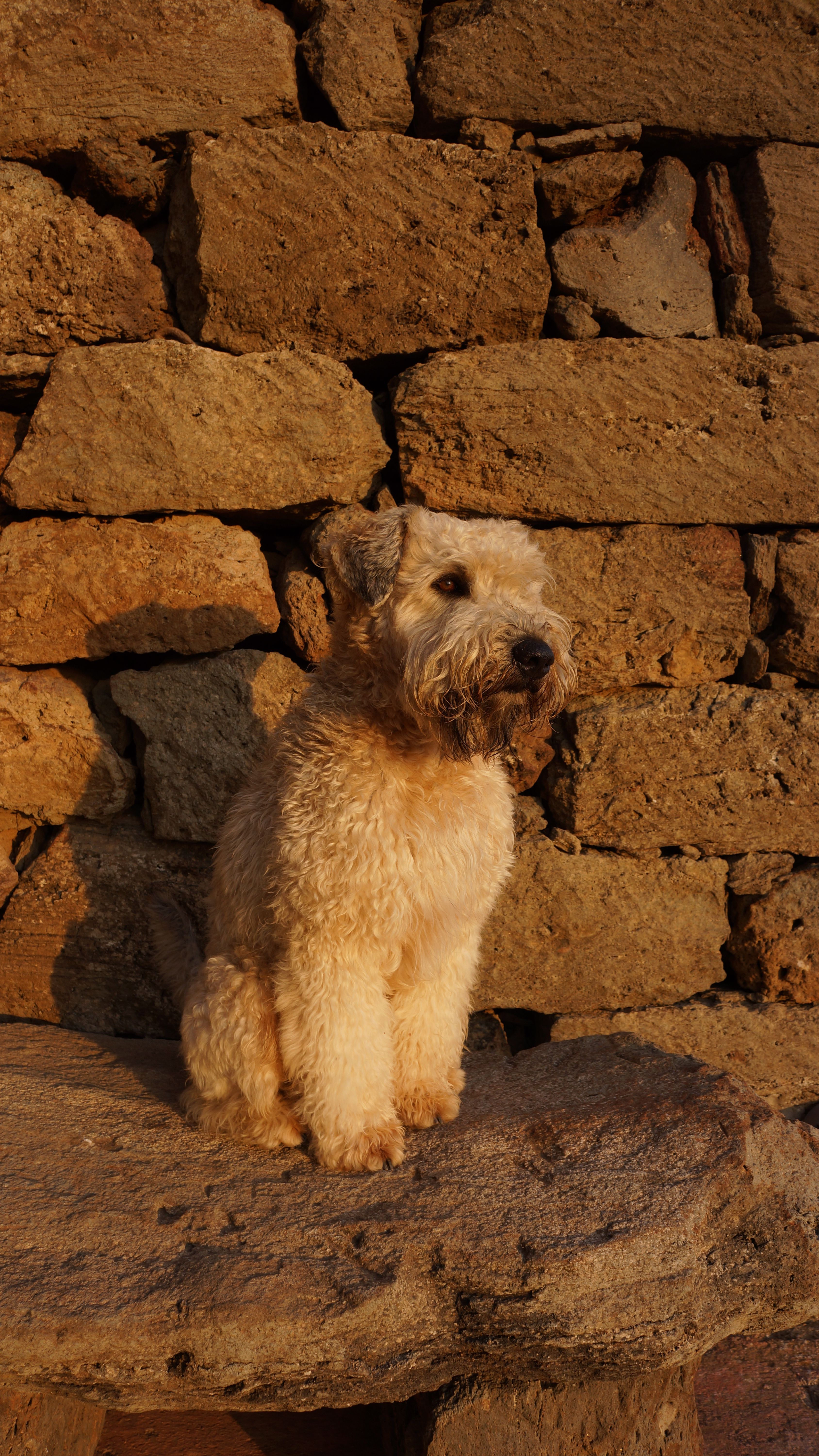Günther  - Schmellerstraße, München