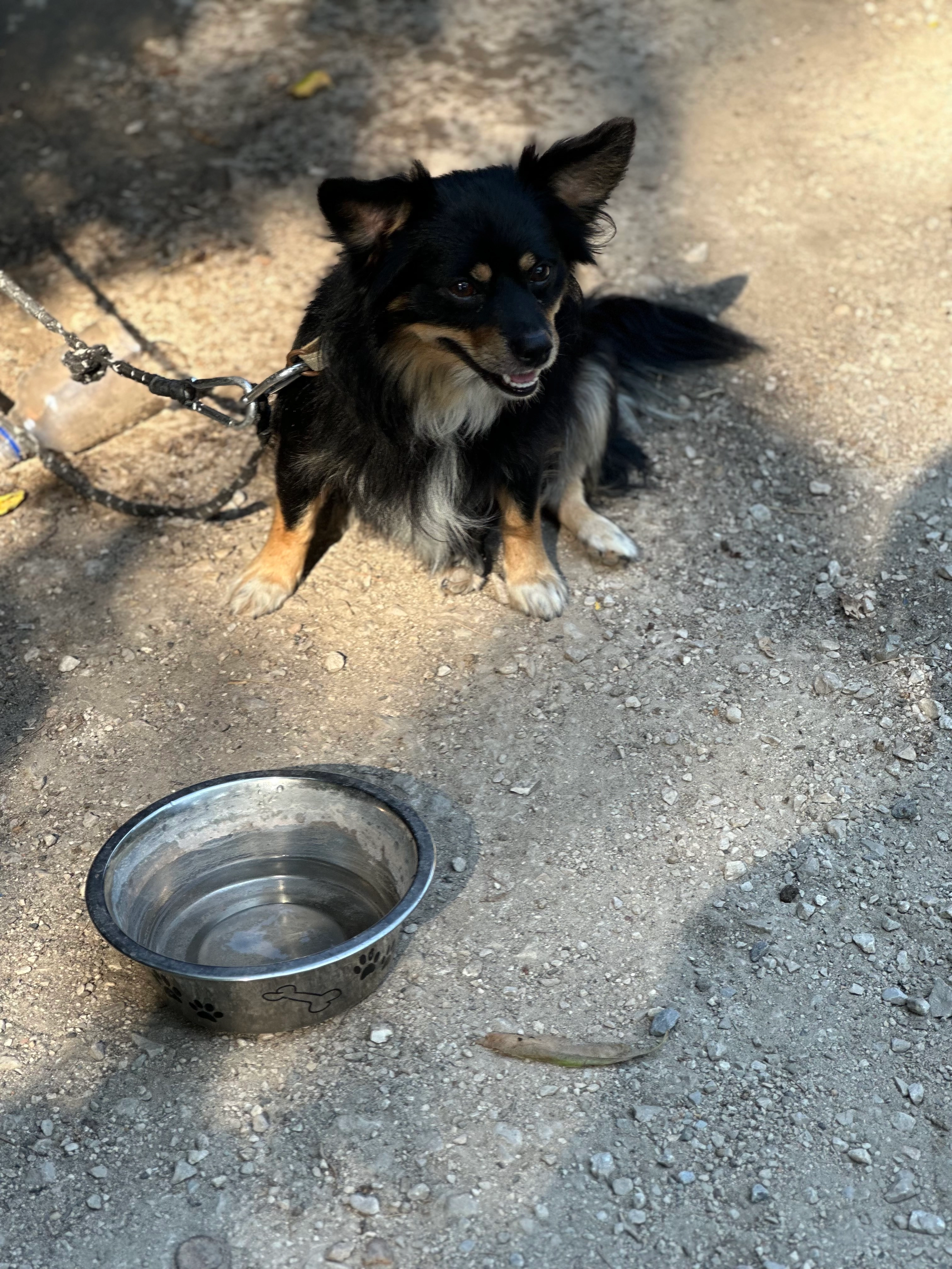 Blue - Rue Du Bargy, Cluses