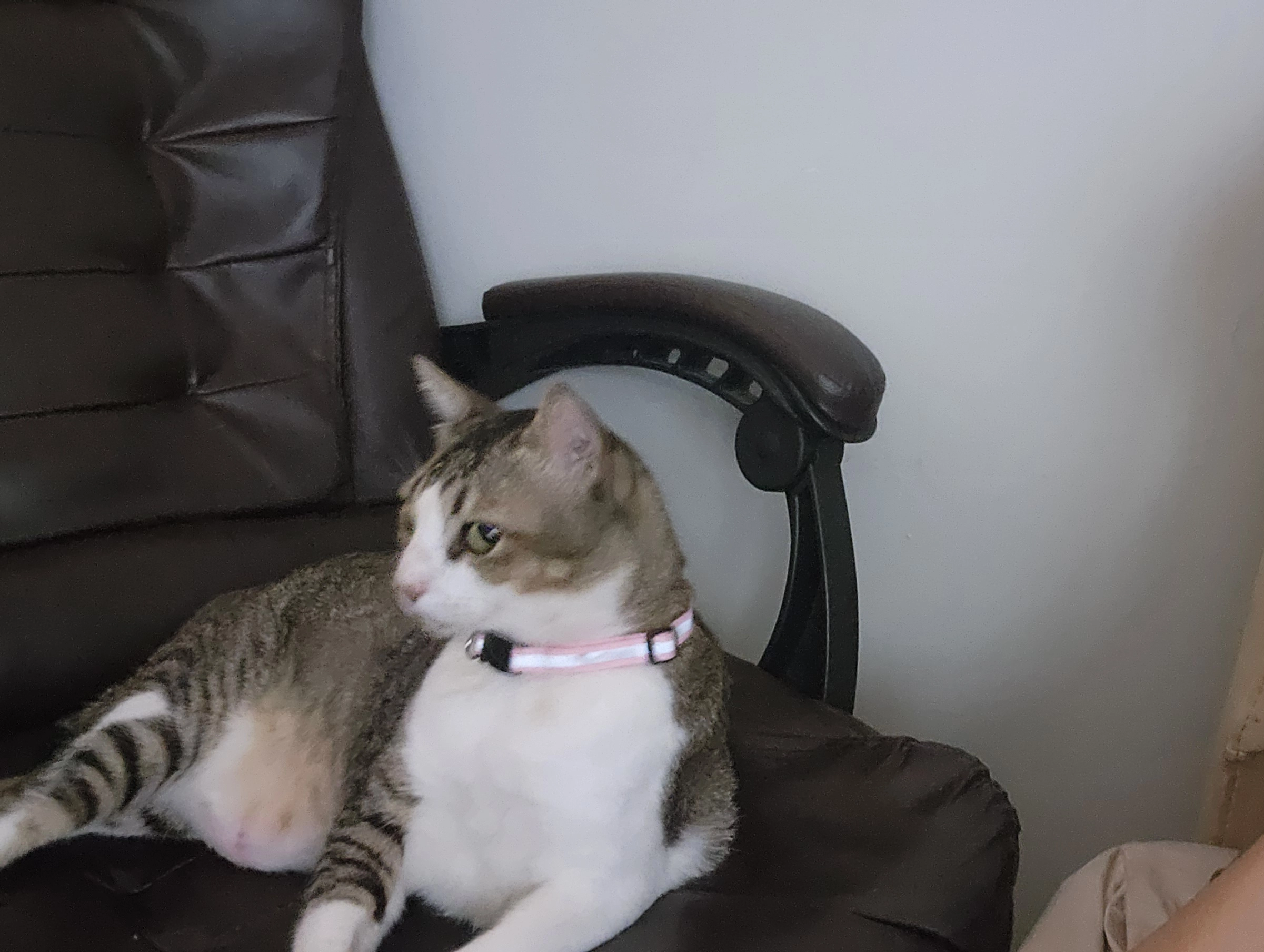 Boos - Jalan Saga SD 8/2A, Petaling Jaya