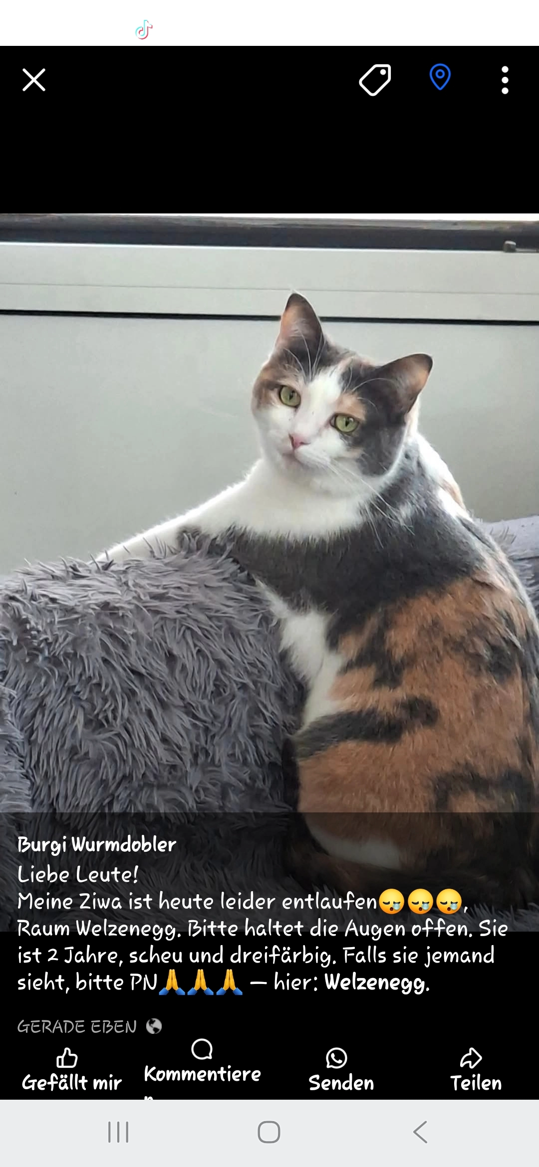 Ziwa - Hermannstädter Weg, Klagenfurt am Wörthersee