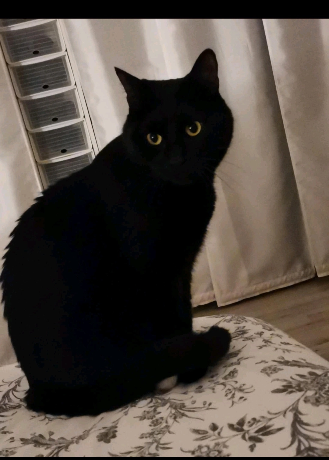 Salem  - Rue De Modenheim, Illzach