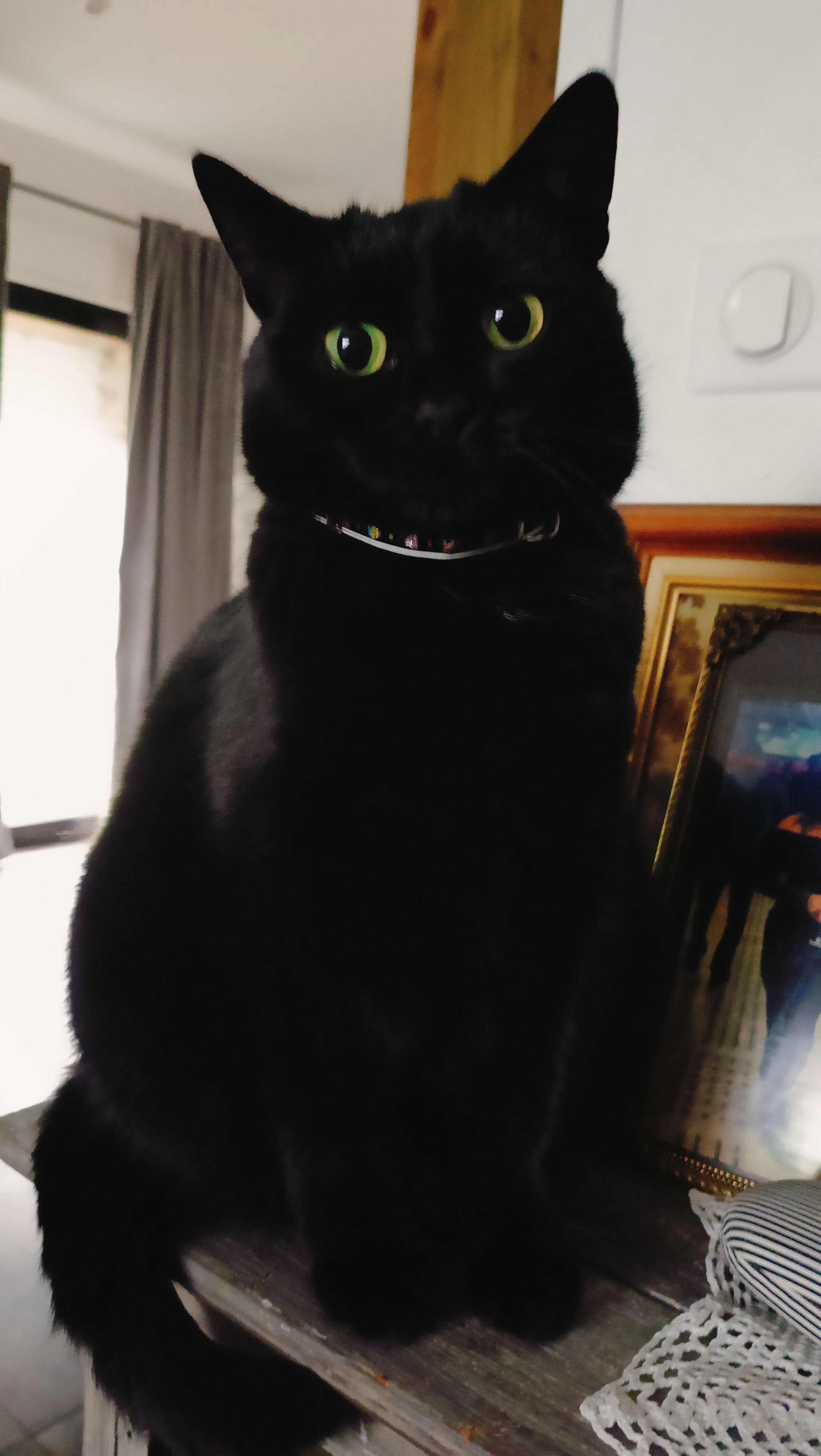 Anabelle  - Rue Des Maîtres, Ancenis